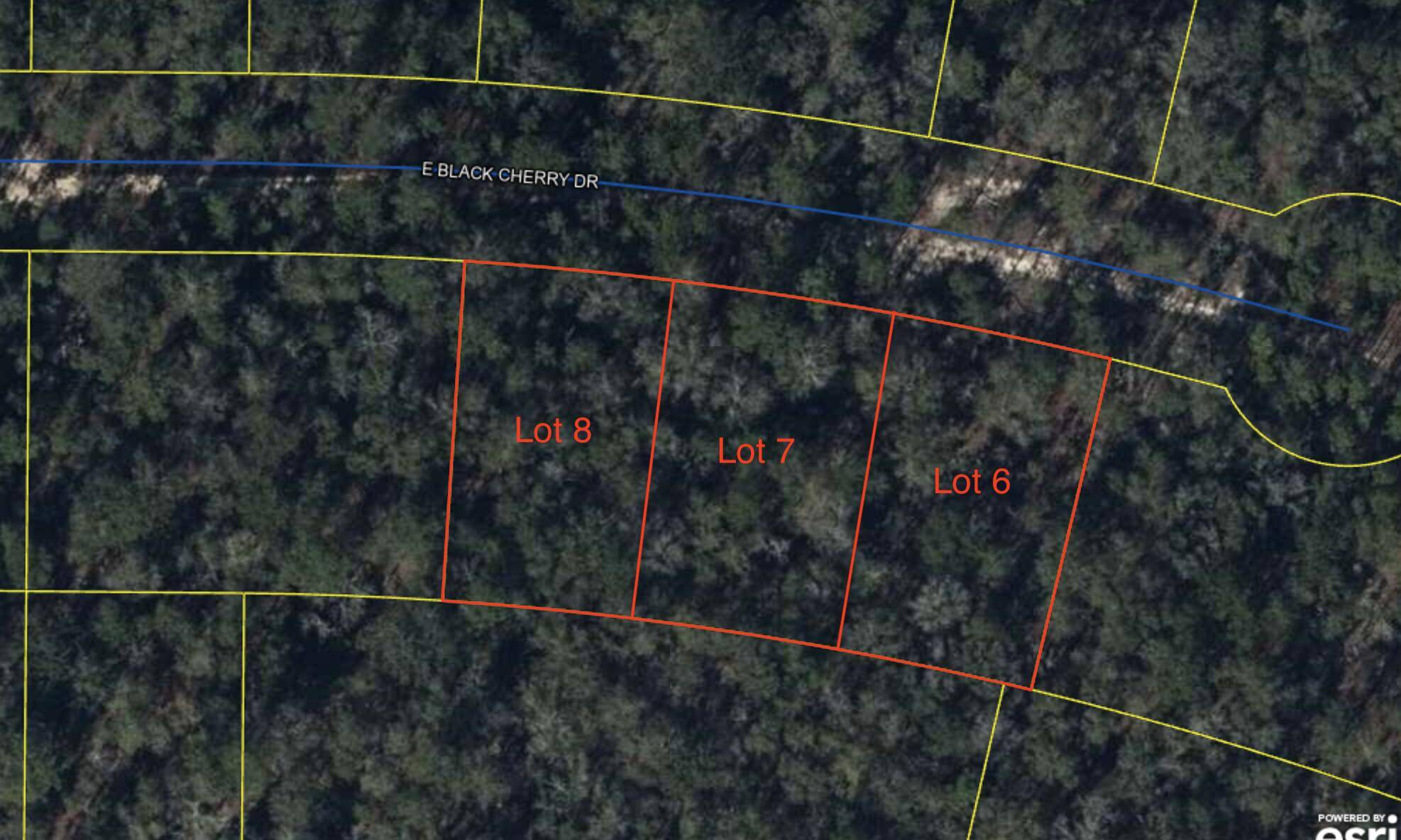 Defuniak Springs, FL 32433,Lot #7 E Black Cherry Drive