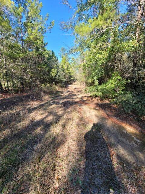 Crestview, FL 32539,TBD Second Avenue