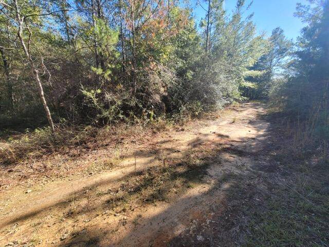 Crestview, FL 32539,TBD Second Avenue