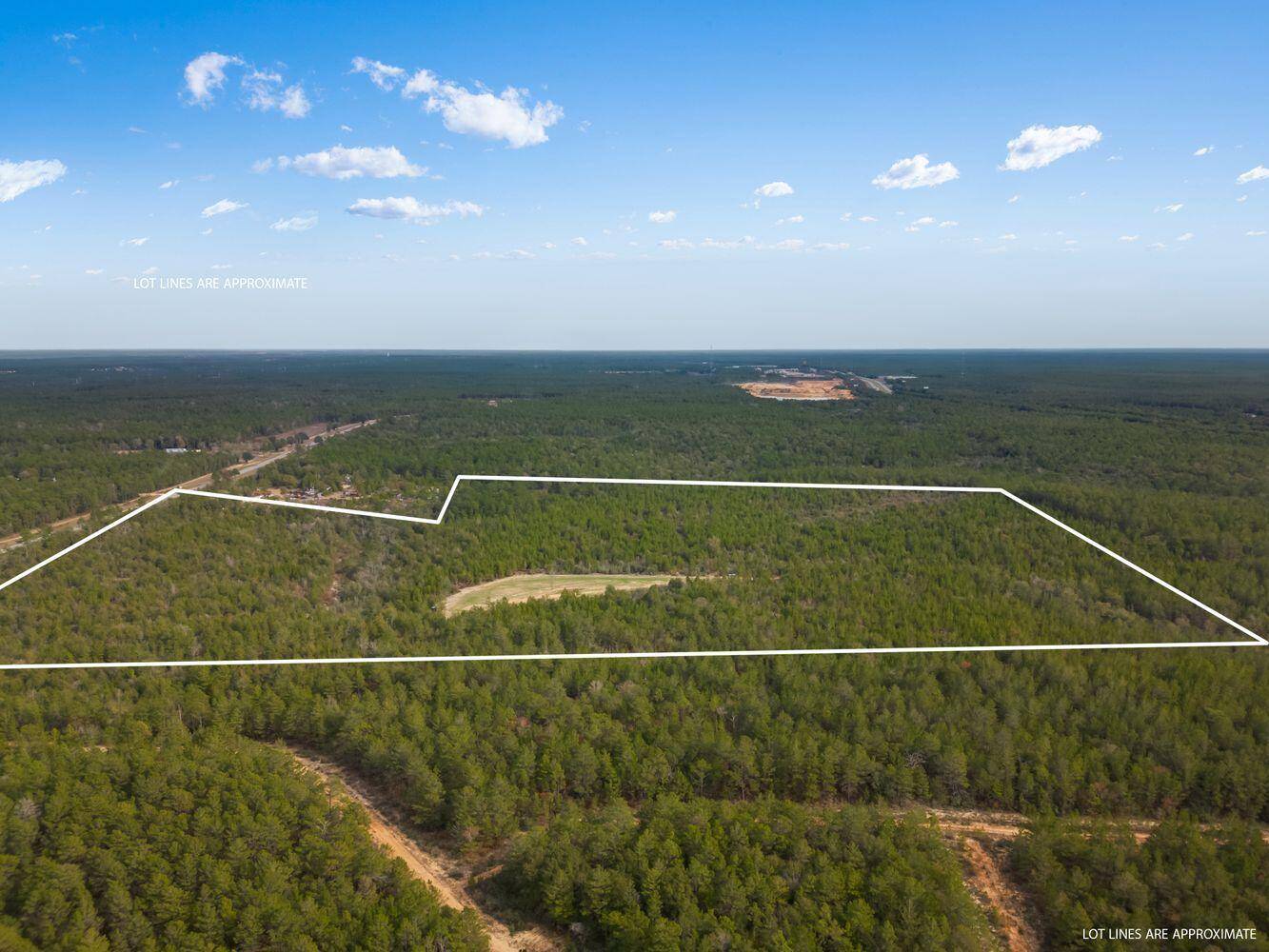 Crestview, FL 32539,88 Acres E US-90