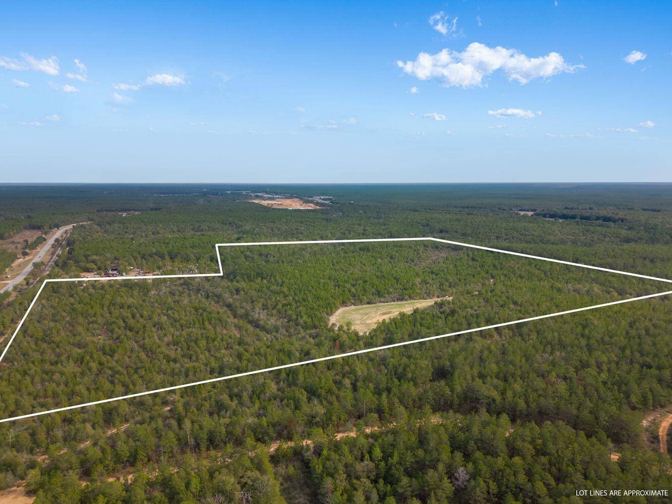 Crestview, FL 32539,88 Acres E US-90