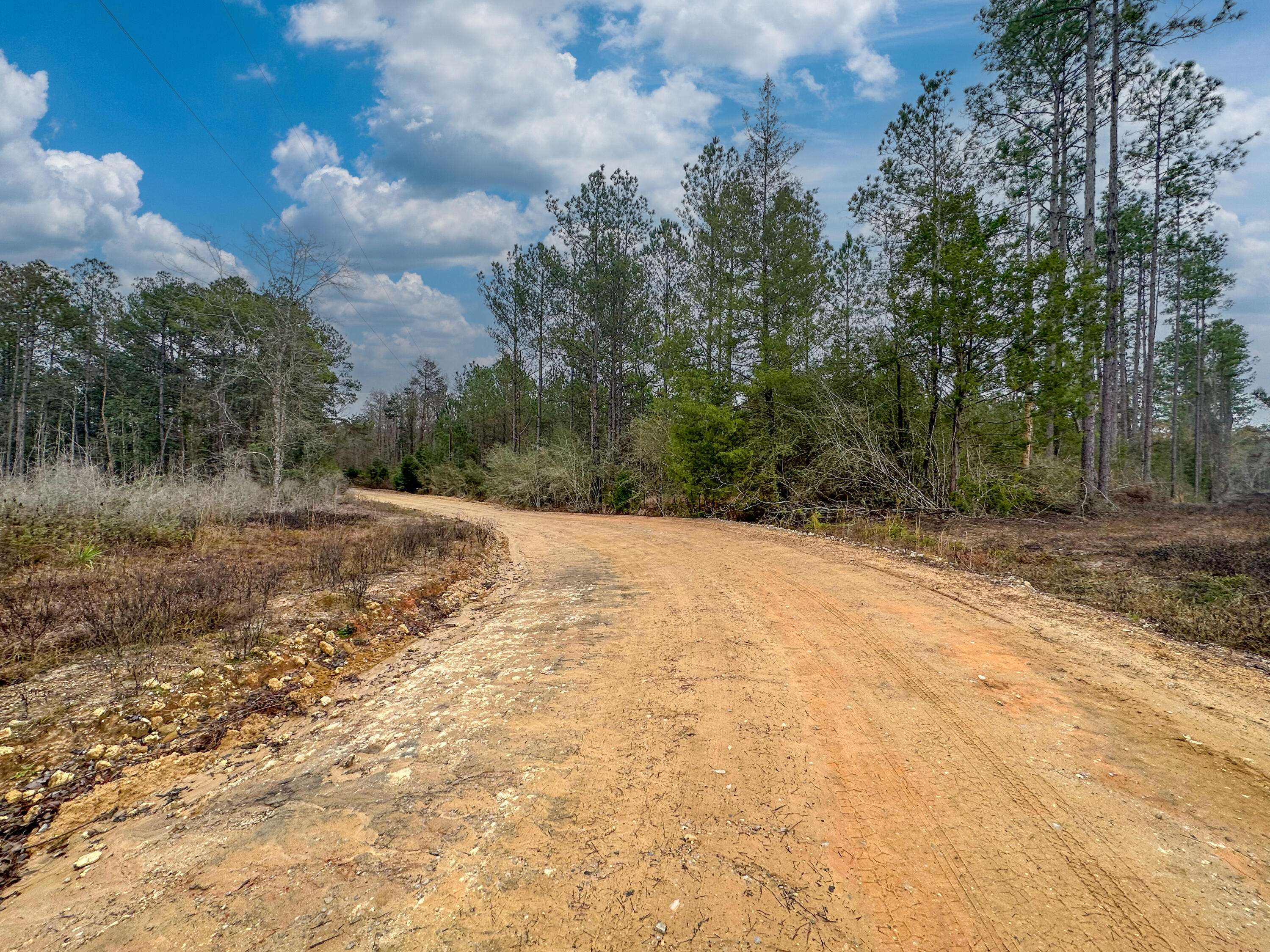 Caryville, FL 32427,Tract#6409 W Davis Road