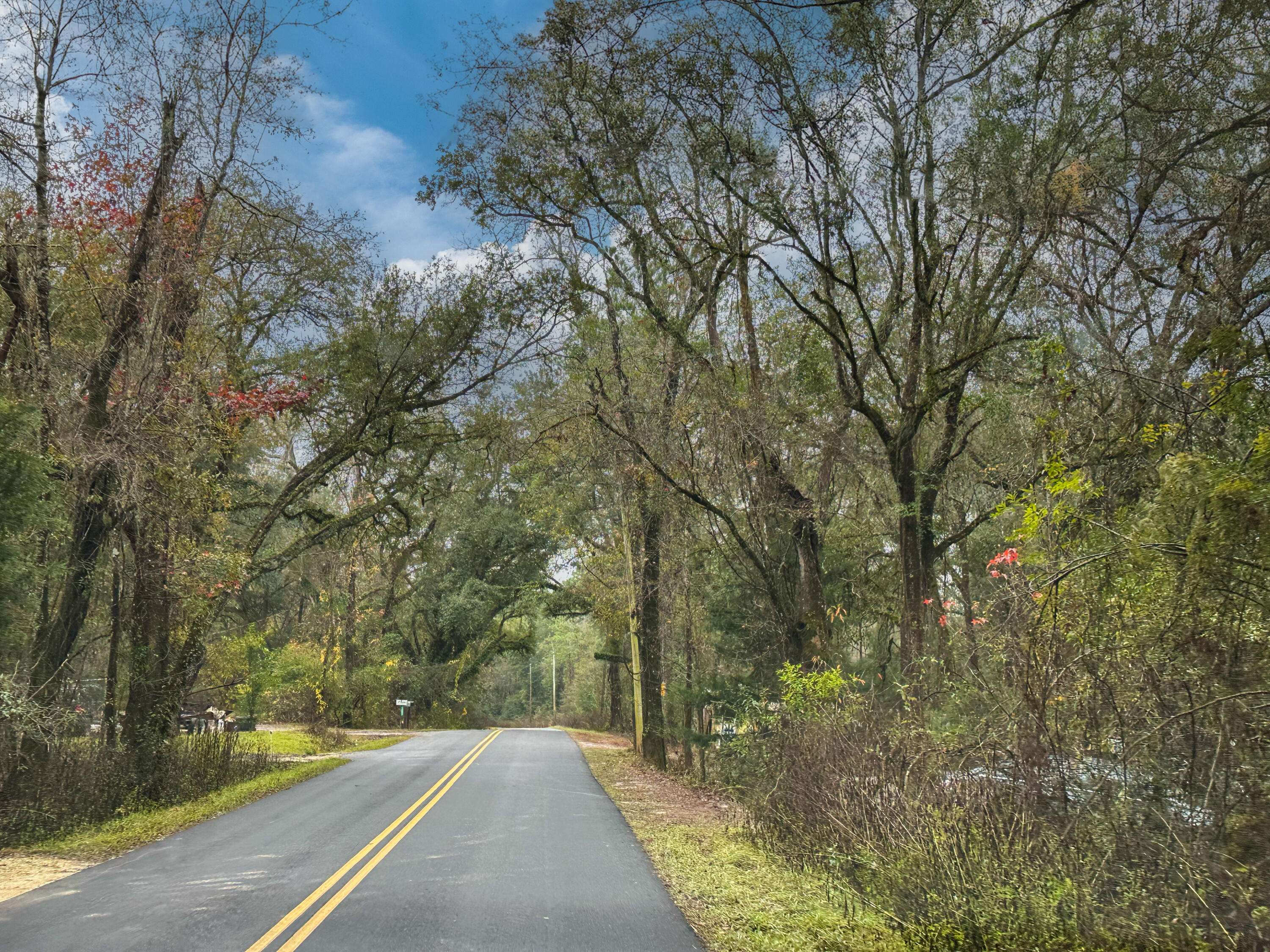 Caryville, FL 32427,Tract#6409 W Davis Road