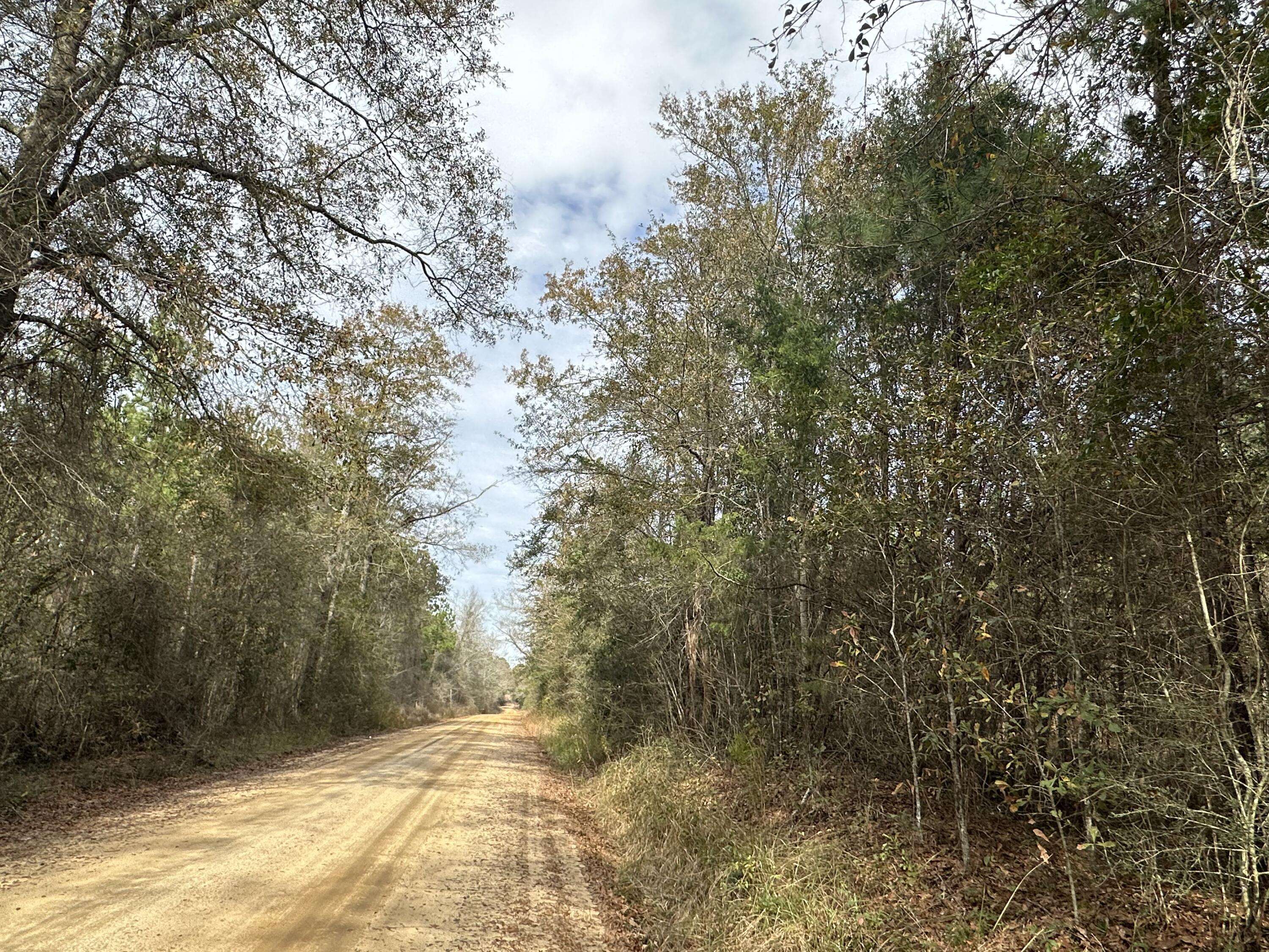 Bonifay, FL 32425,Tract#6301 SW Love Road