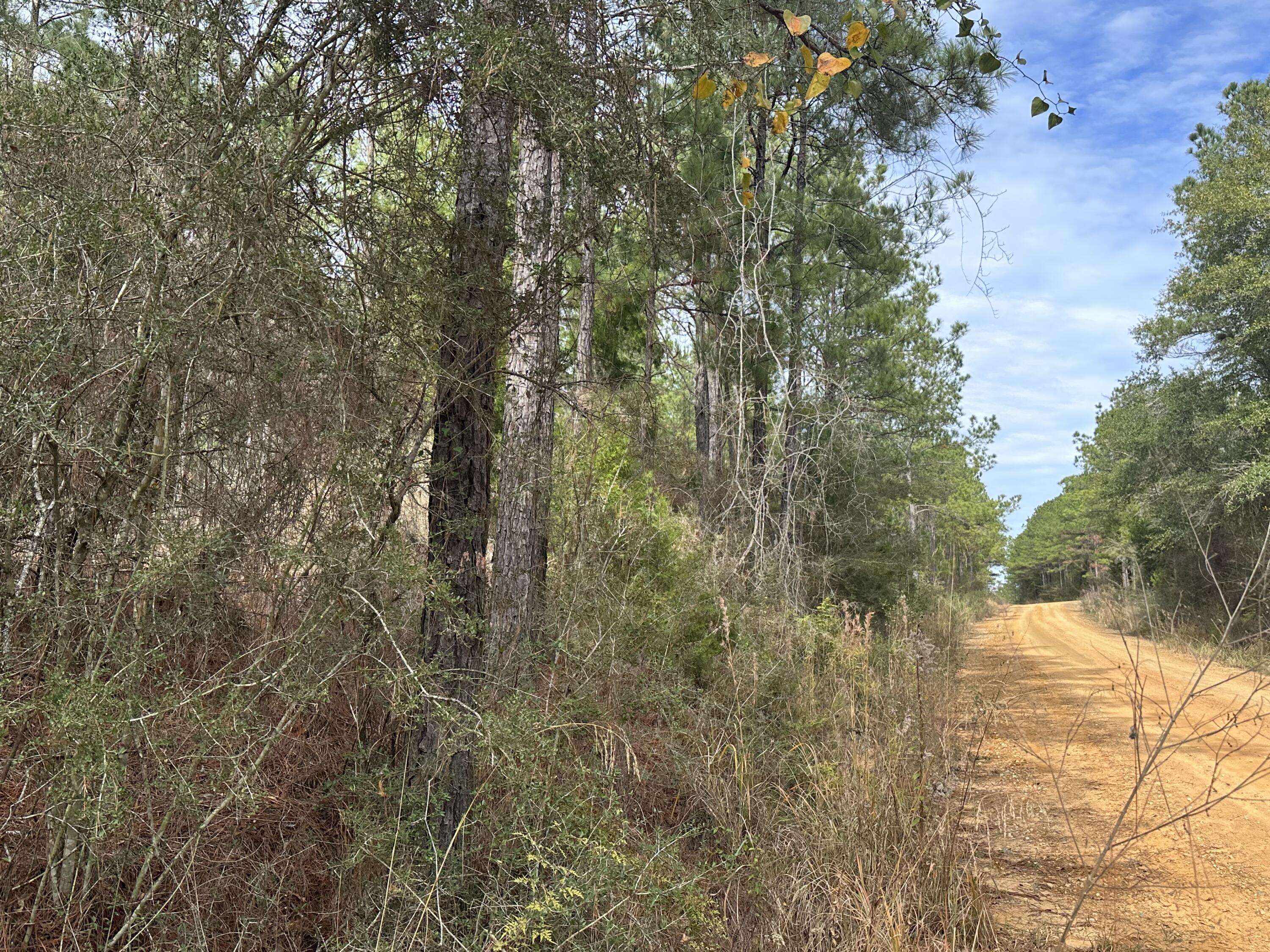 Bonifay, FL 32425,Tract#6301 E Beall Road