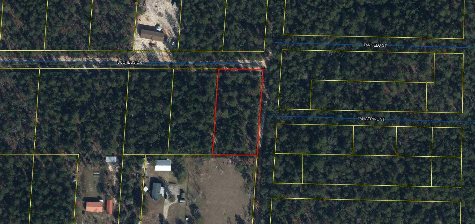 Defuniak Springs, FL 32433,256 Duchess Drive