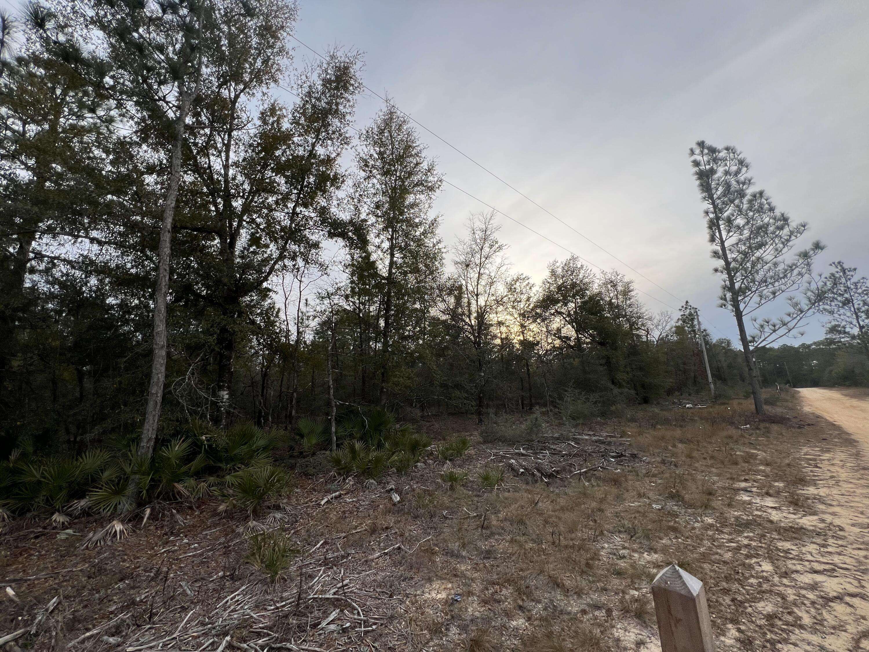 Defuniak Springs, FL 32433,00 Pansy Lane