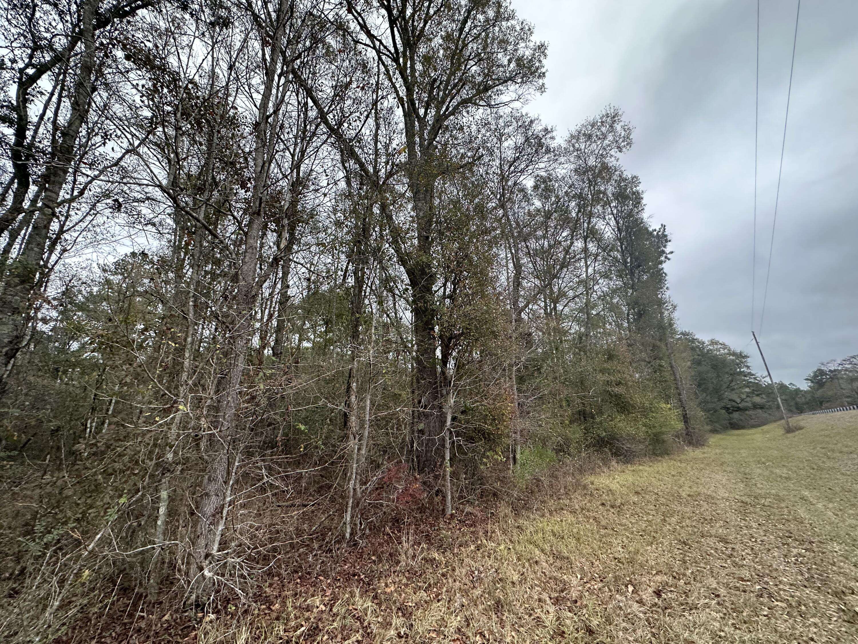 Bonifay, FL 32425,Tract#6326 N Tri County Road