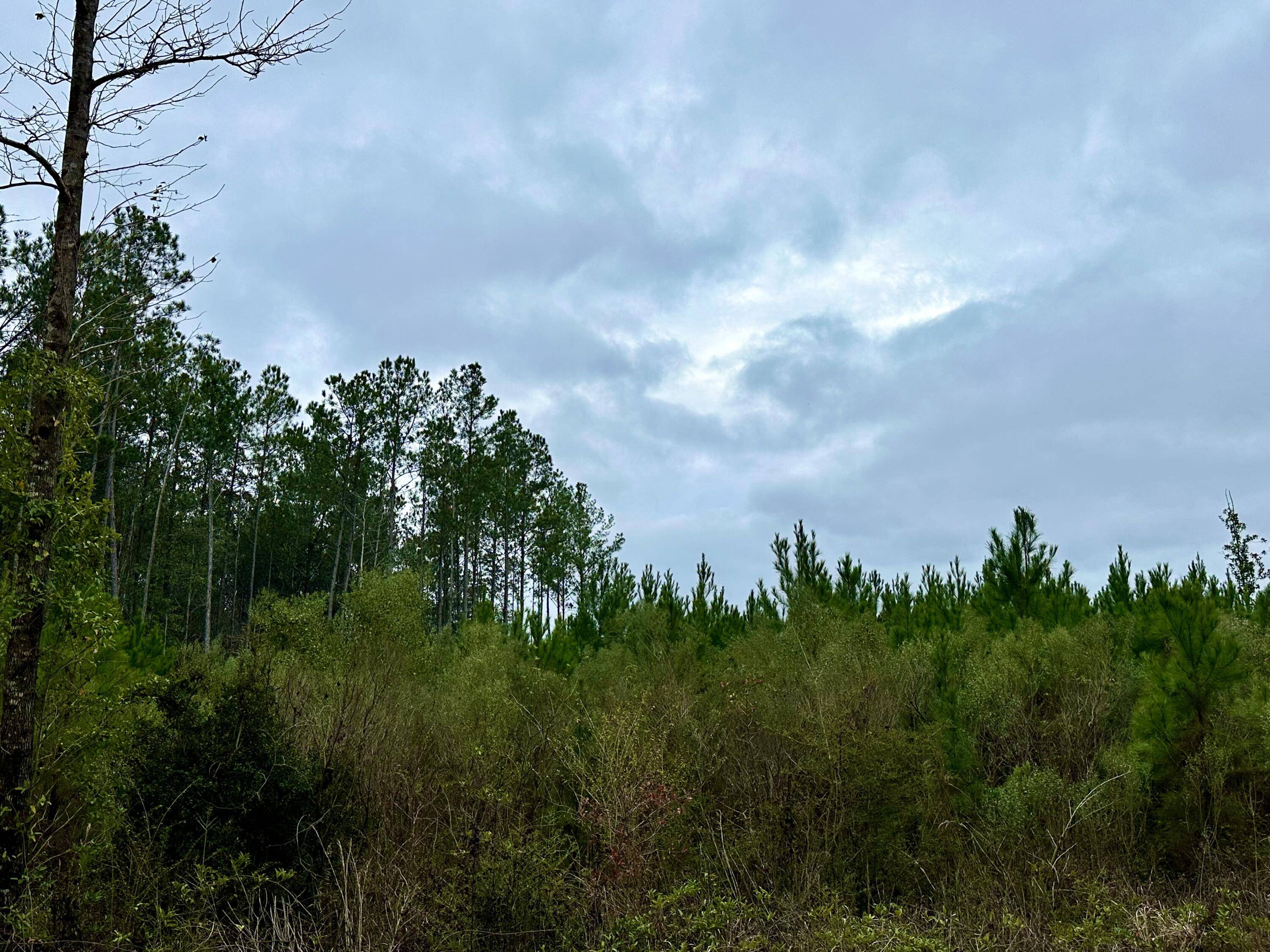 Chipley, FL 32428,Tract#6411 E Open Creek Road