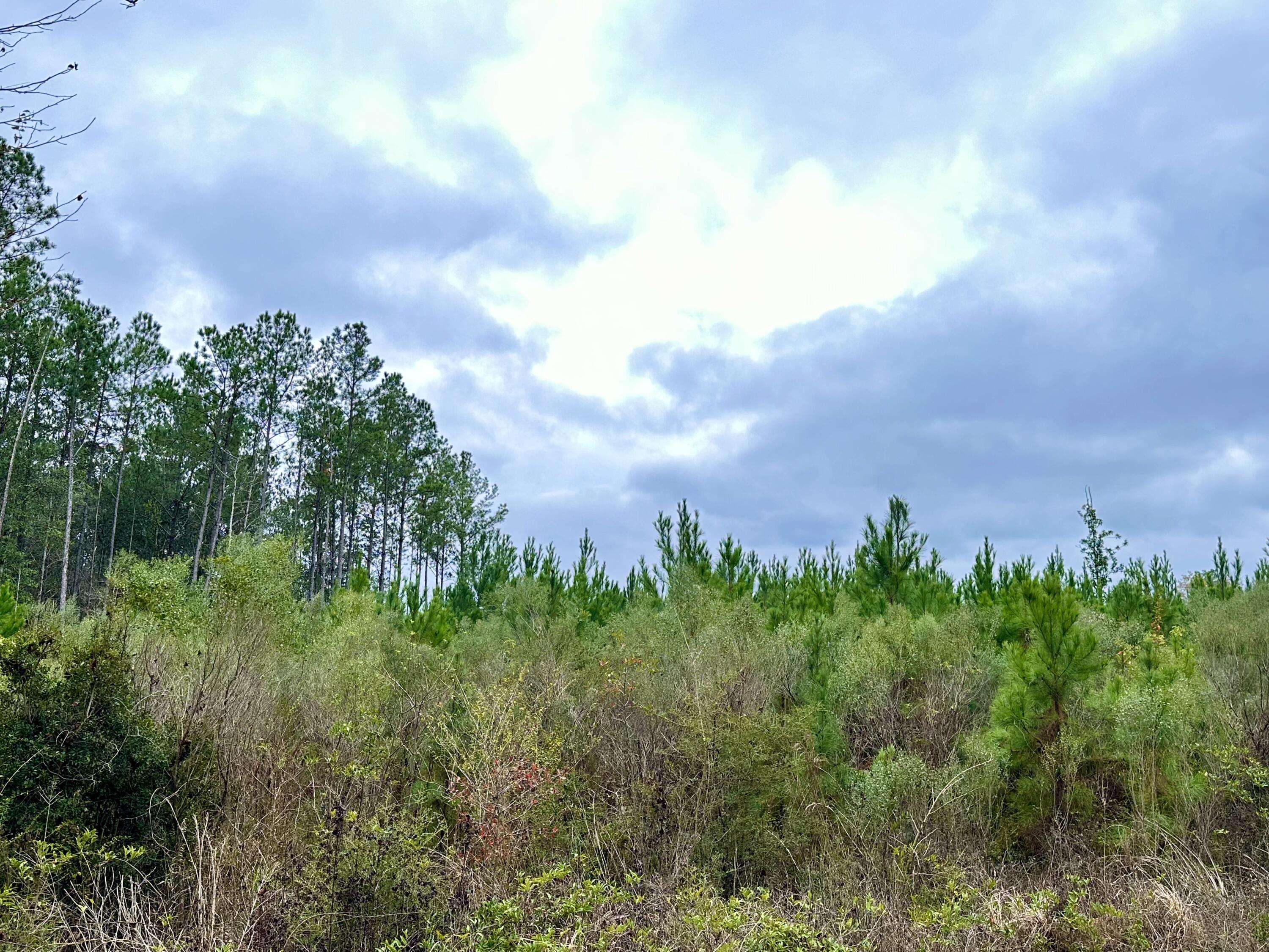 Chipley, FL 32428,Tract#6411 E Open Creek Road