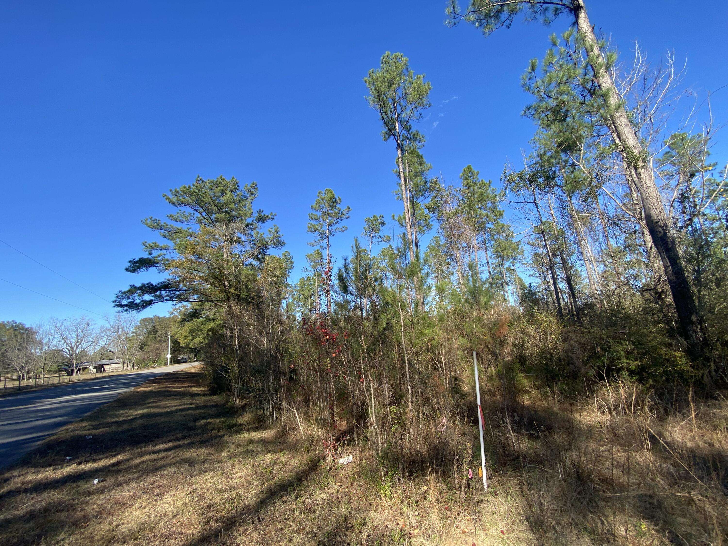 Laurel Hill, FL 32567,Parcel B Old Ebenezer Road