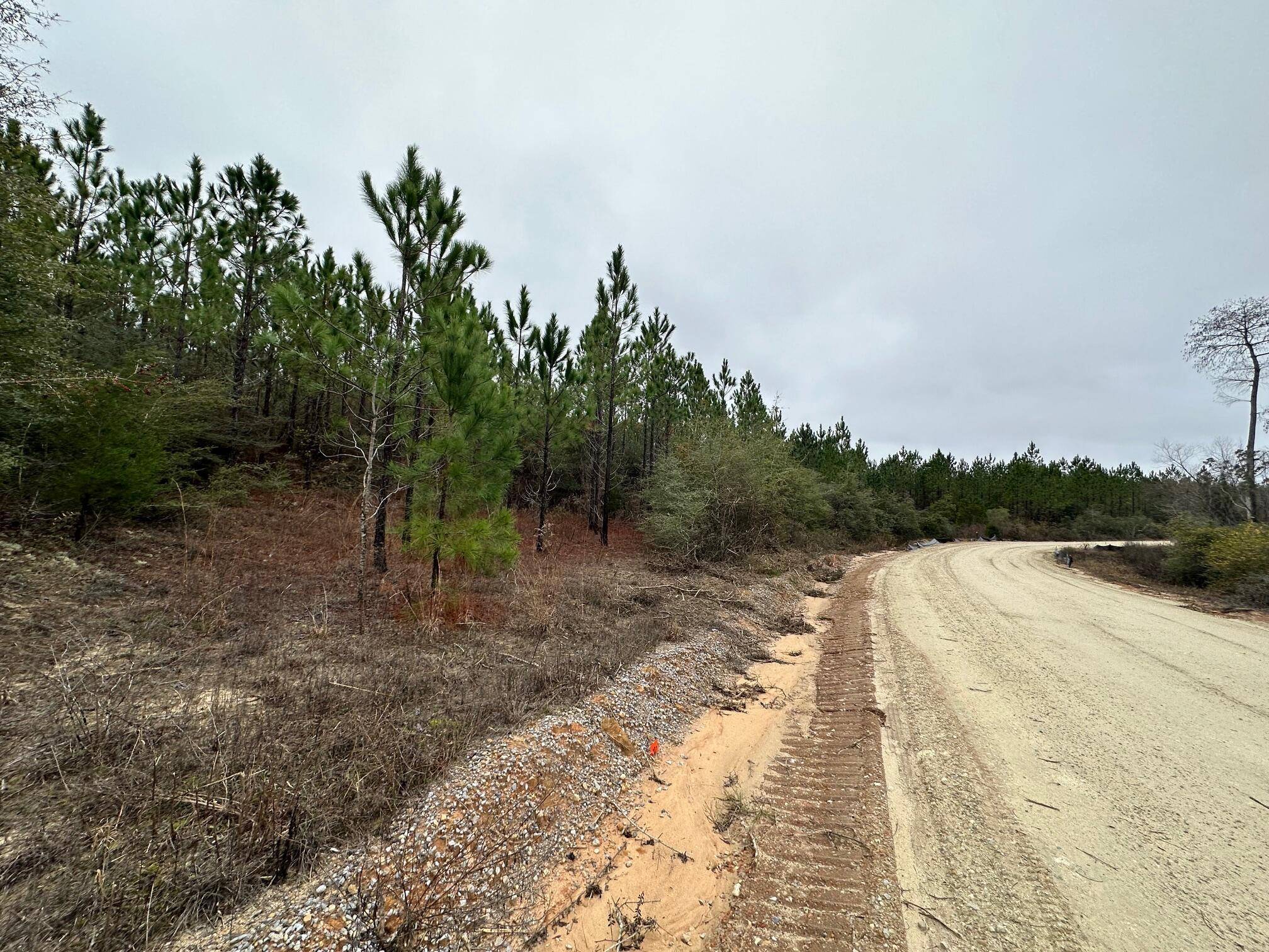 Caryville, FL 32427,Tract#6418 Mattox Springs Road  #Southern Winds Ln