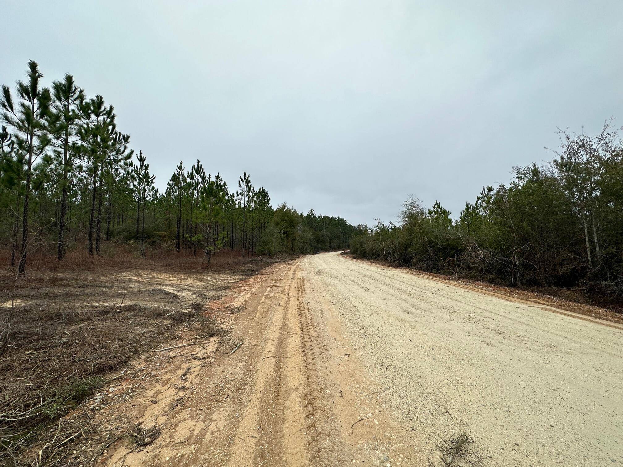 Caryville, FL 32427,Tract#6418 S Mattox Springs Road  #S1