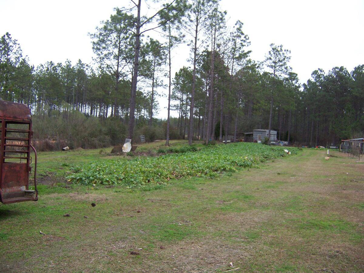 Defuniak Springs, FL 32433,1287 Wallace Road