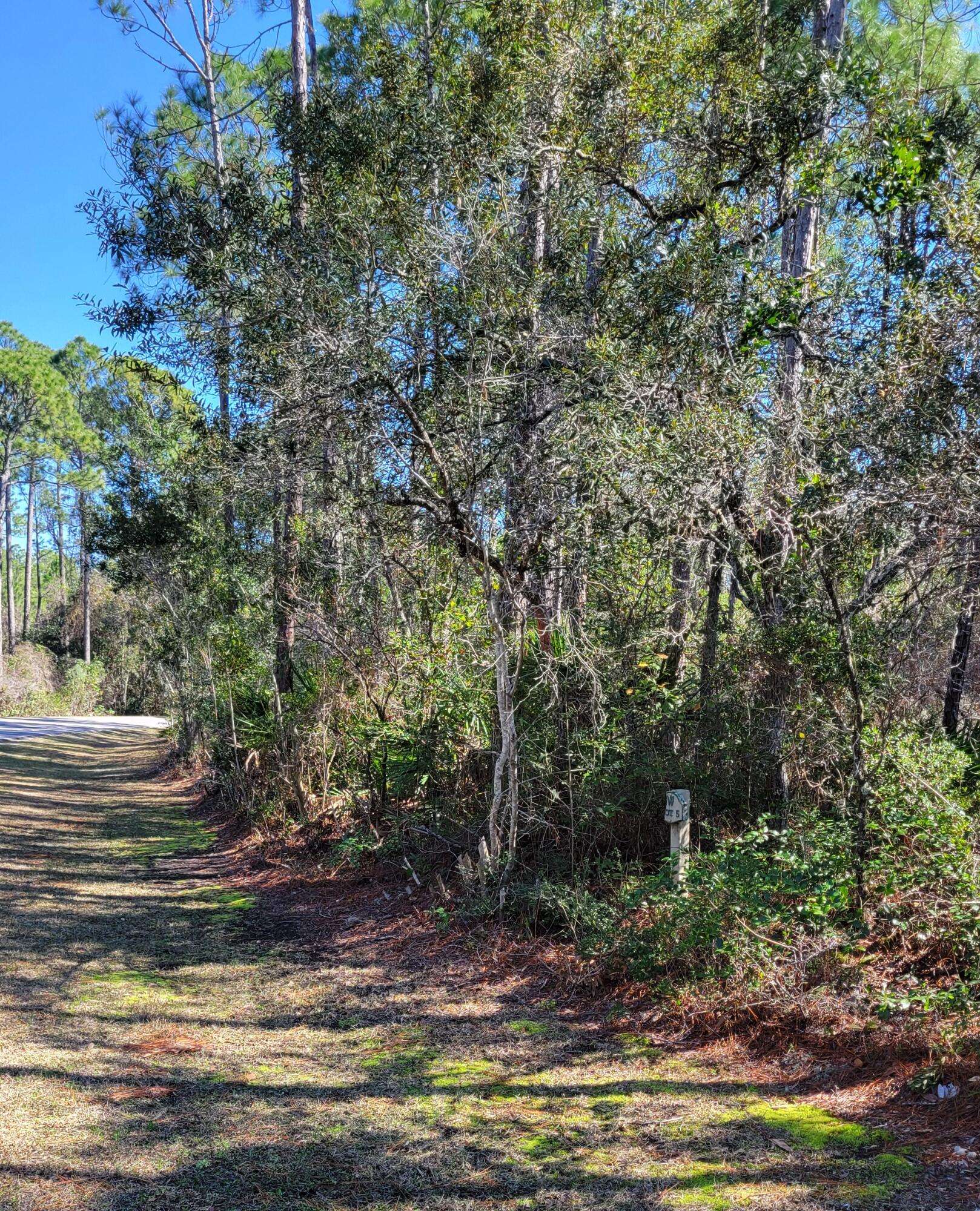 Santa Rosa Beach, FL 32459,Lot #5 N Brookwood Drive