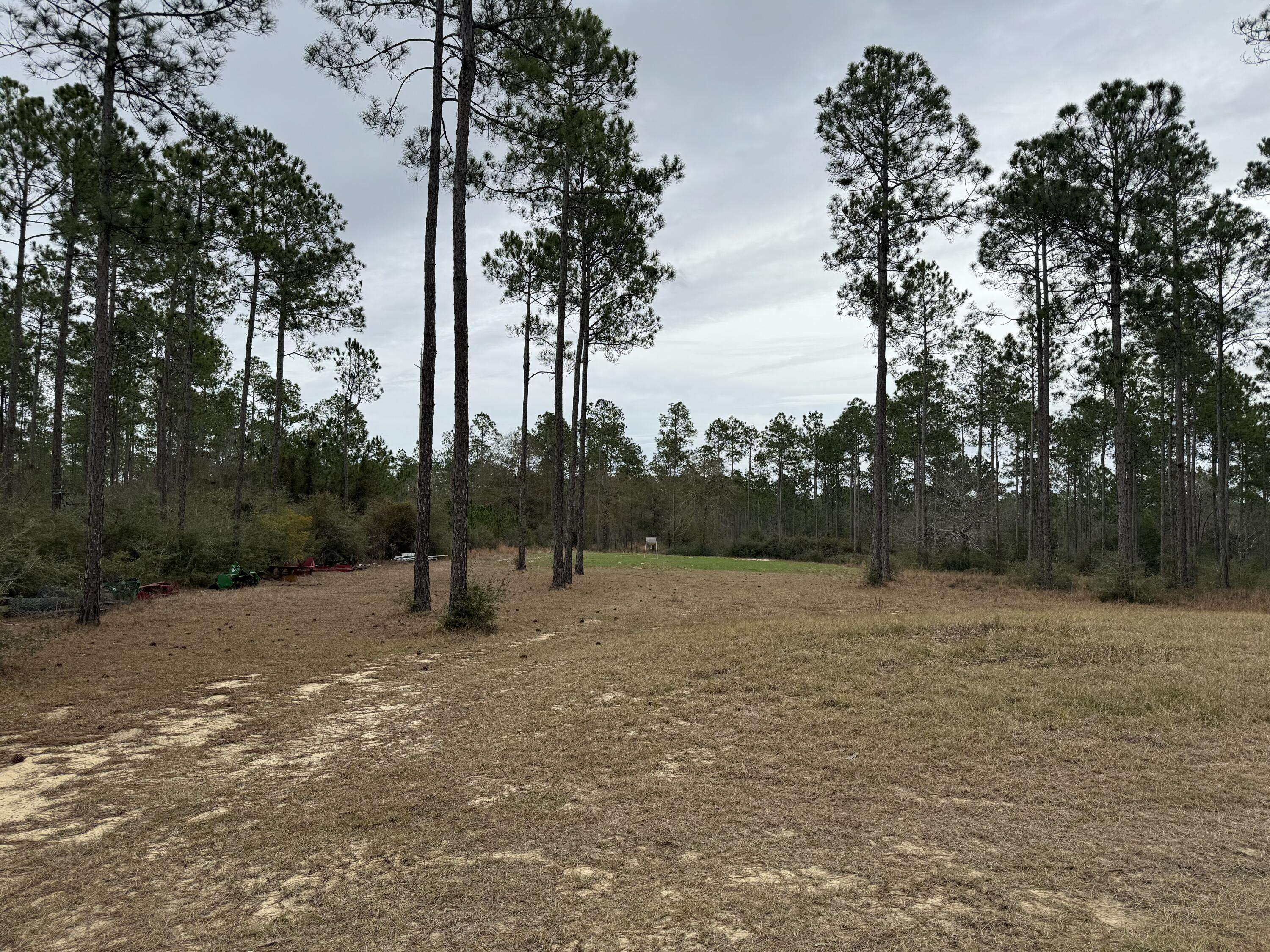 Laurel Hill, FL 32567,249 Covey Rise Road