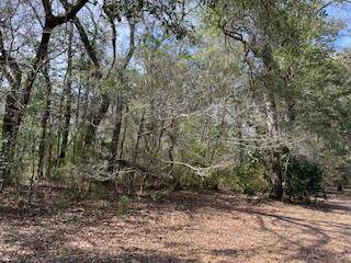 Ponce De Leon, FL 32455,Lot 25,26 Choctawhatchee River Road