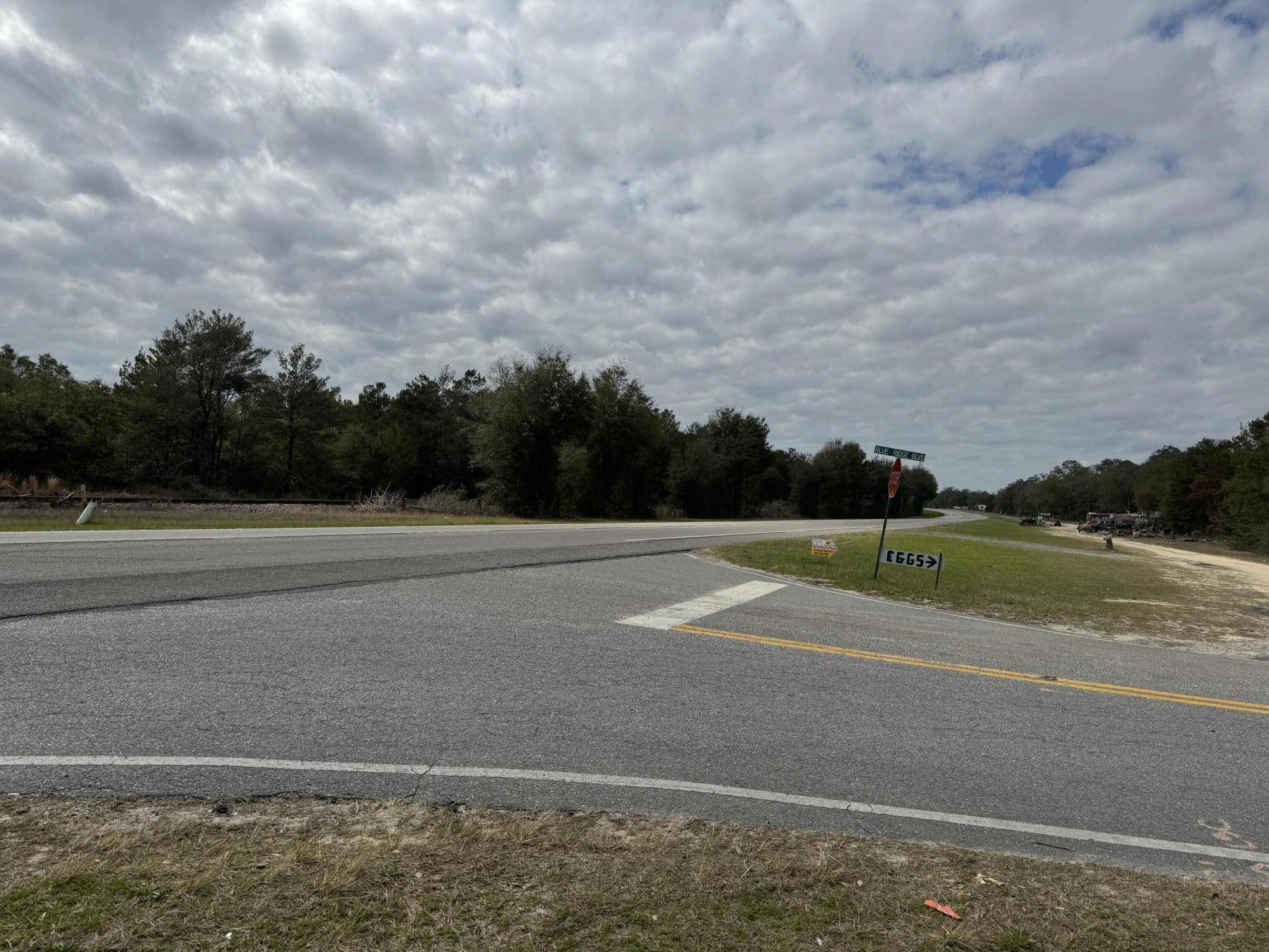 Defuniak Springs, FL 32433,1.68 AC US-90