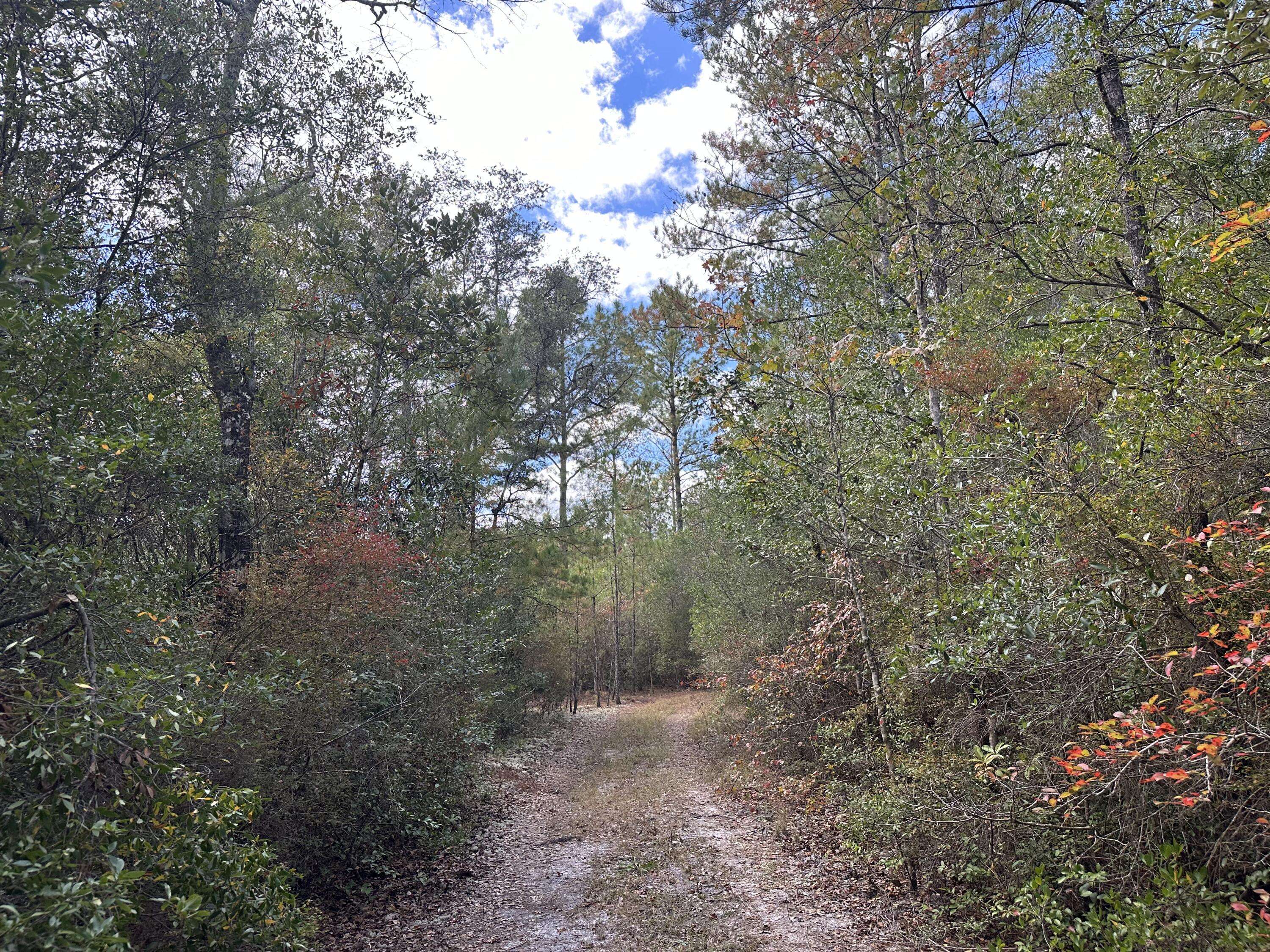 Crestview, FL 32536,Parcel A Lacey Lane