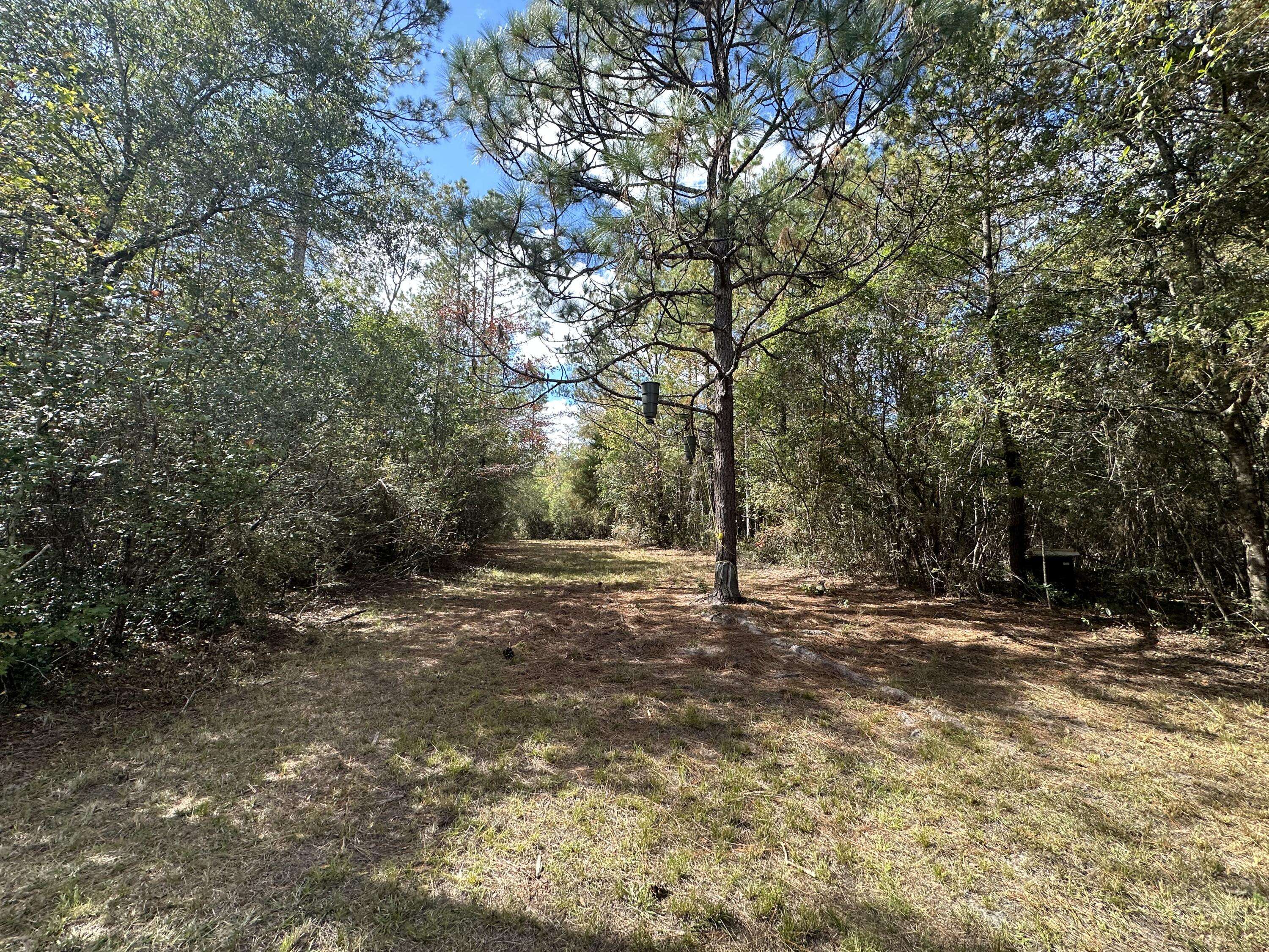 Crestview, FL 32536,15 Ac+/- Lacey Lane  #Parcel A-1