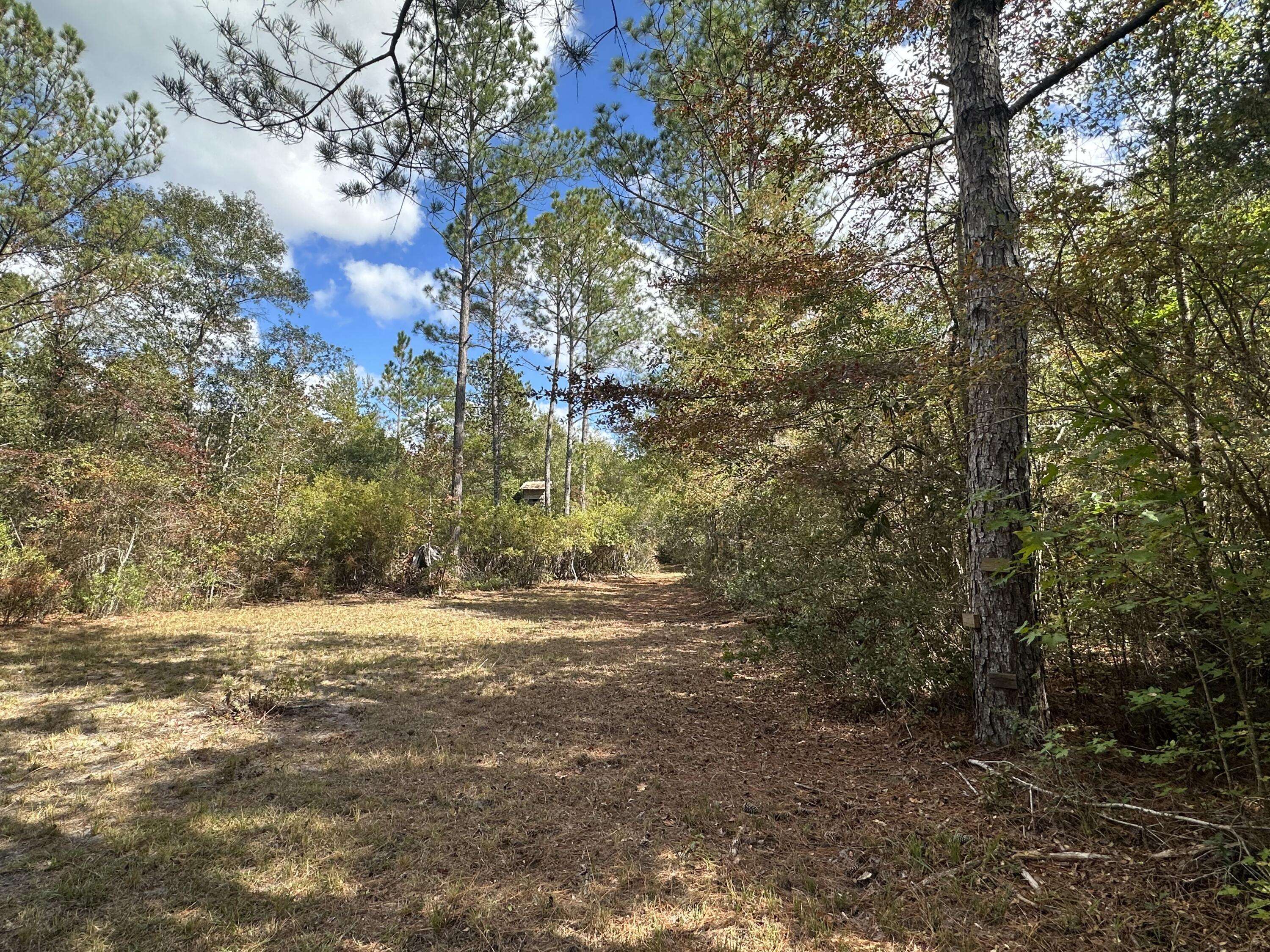 Crestview, FL 32536,15 Ac+/- Lacey Lane  #Parcel A-1