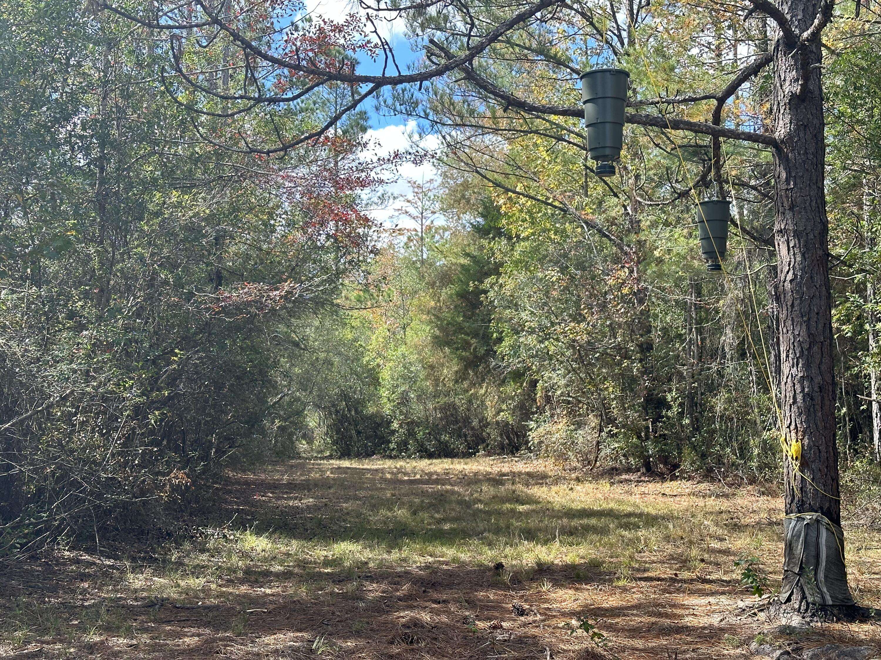 Crestview, FL 32536,15 Ac+/- Lacey Lane  #Parcel A-1