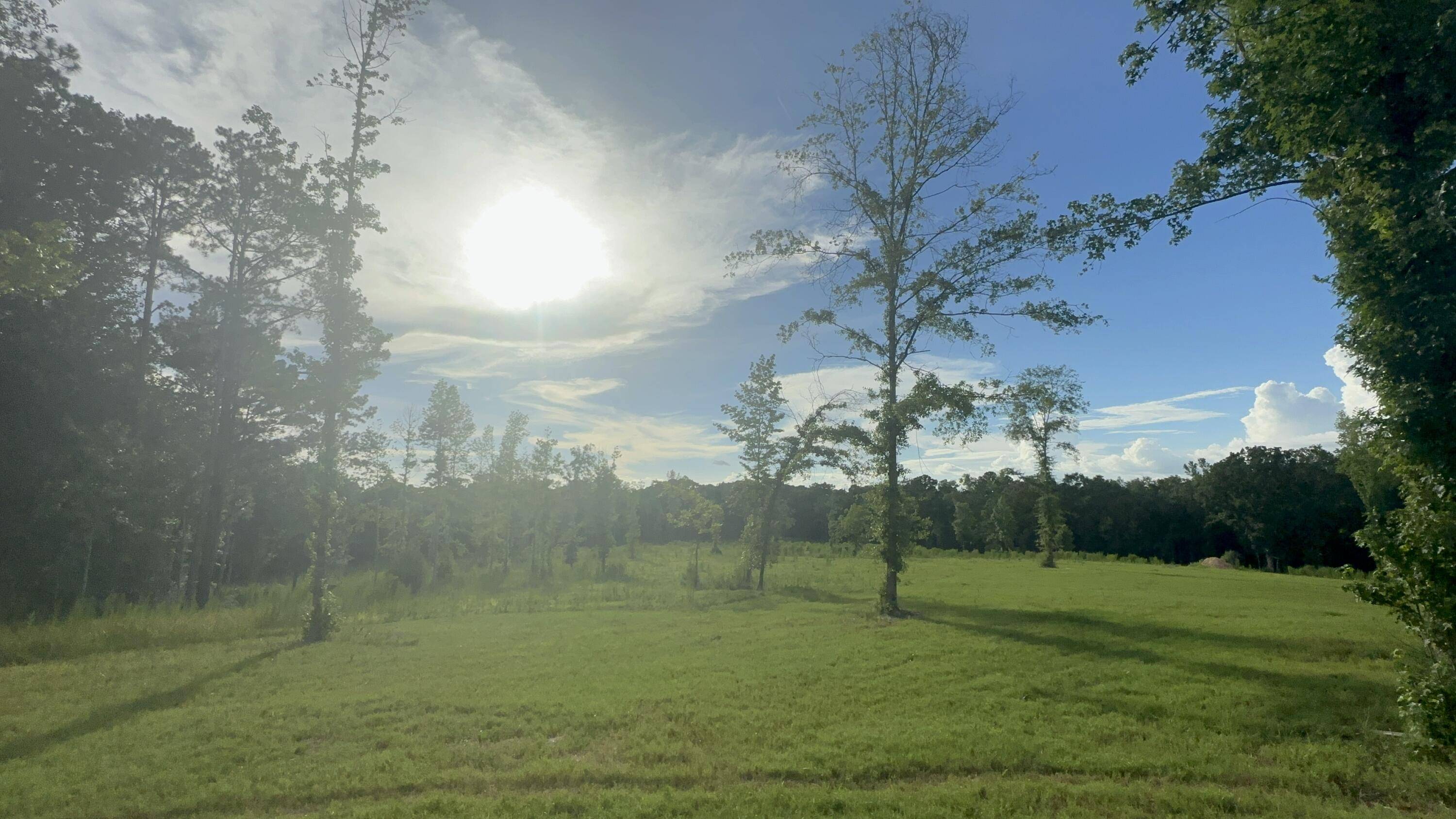 Defuniak Springs, FL 32435,444 Tall Oaks Road