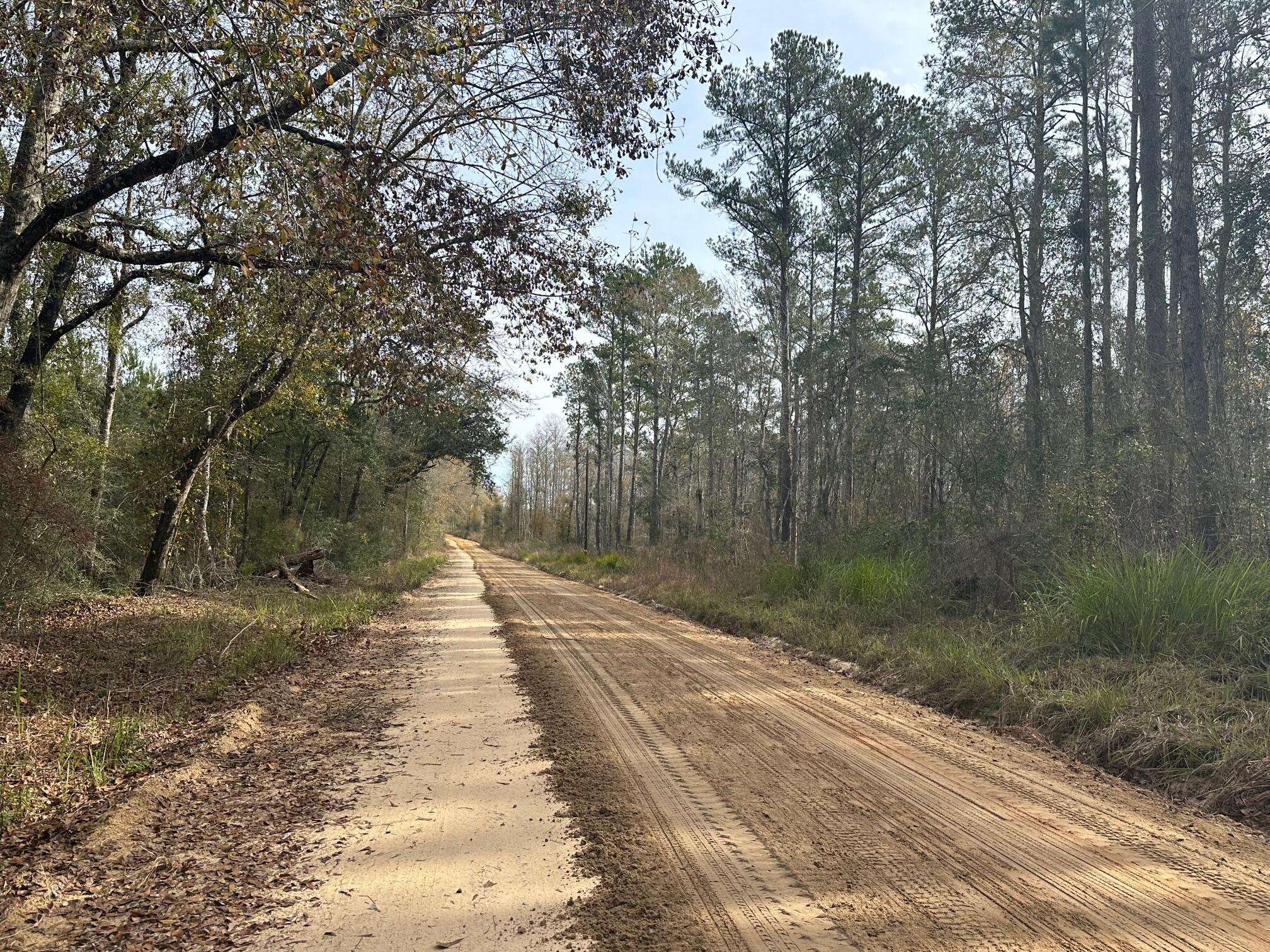 Bonifay, FL 32425,Tract 6307 County Road 65