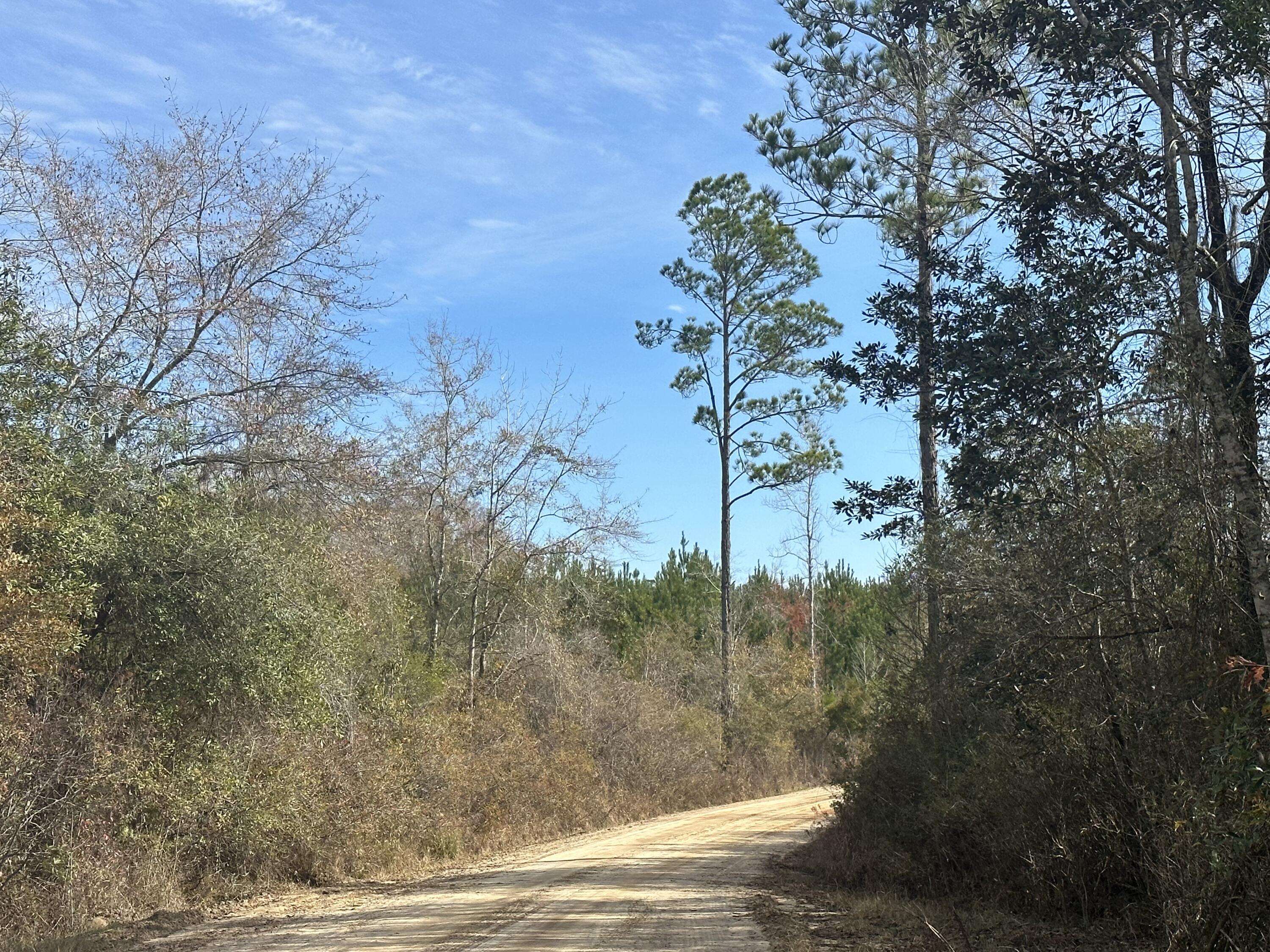 Bonifay, FL 32425,Tract 6317 N Harris Stevenson Road