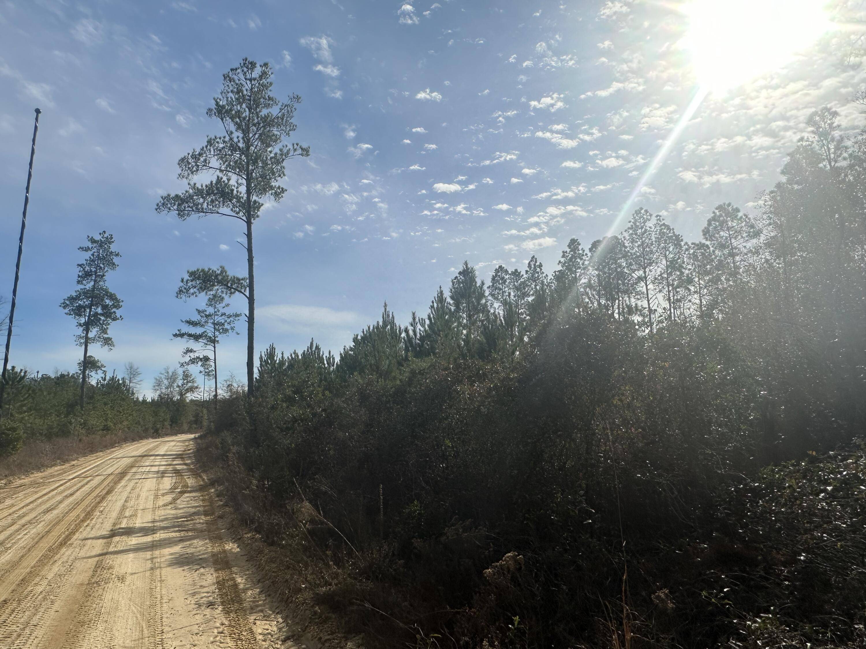 Bonifay, FL 32425,Tract 6317 N Harris Stevenson Road