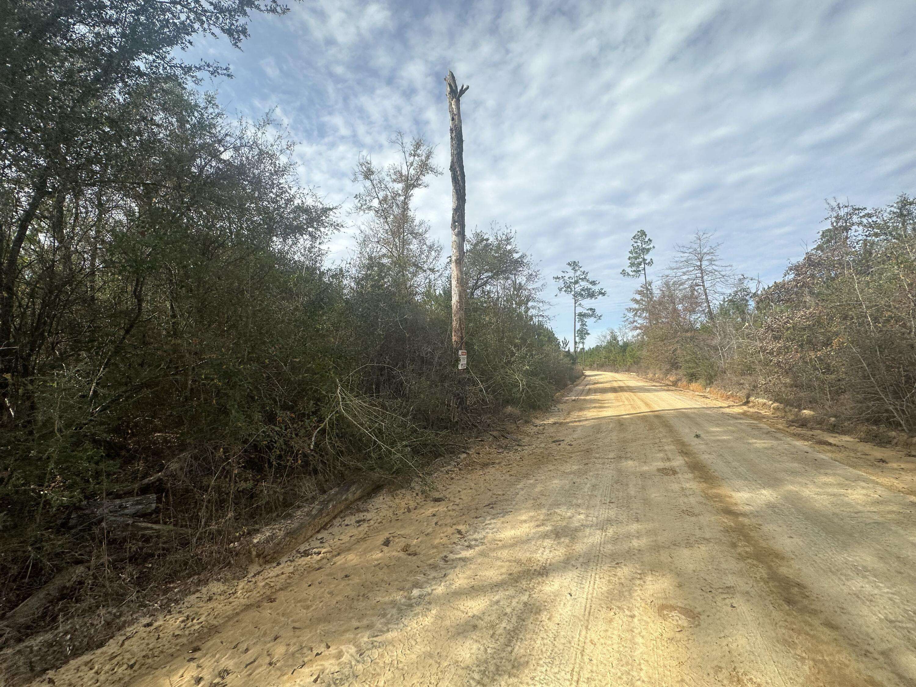 Bonifay, FL 32425,Tract 6317 N Harris Stevenson Road