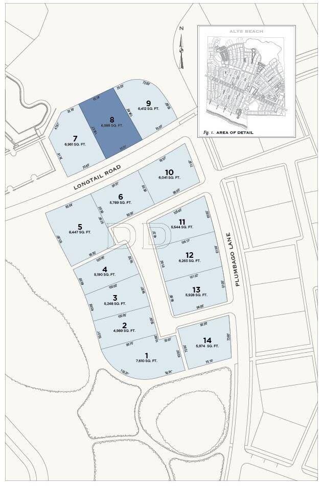 Inlet Beach, FL 32461,DD8 Longtail Road