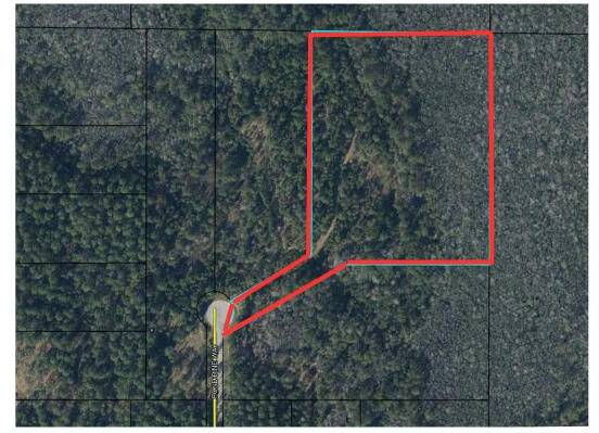 Vernon, FL 32462,TBD Pine Pond Way