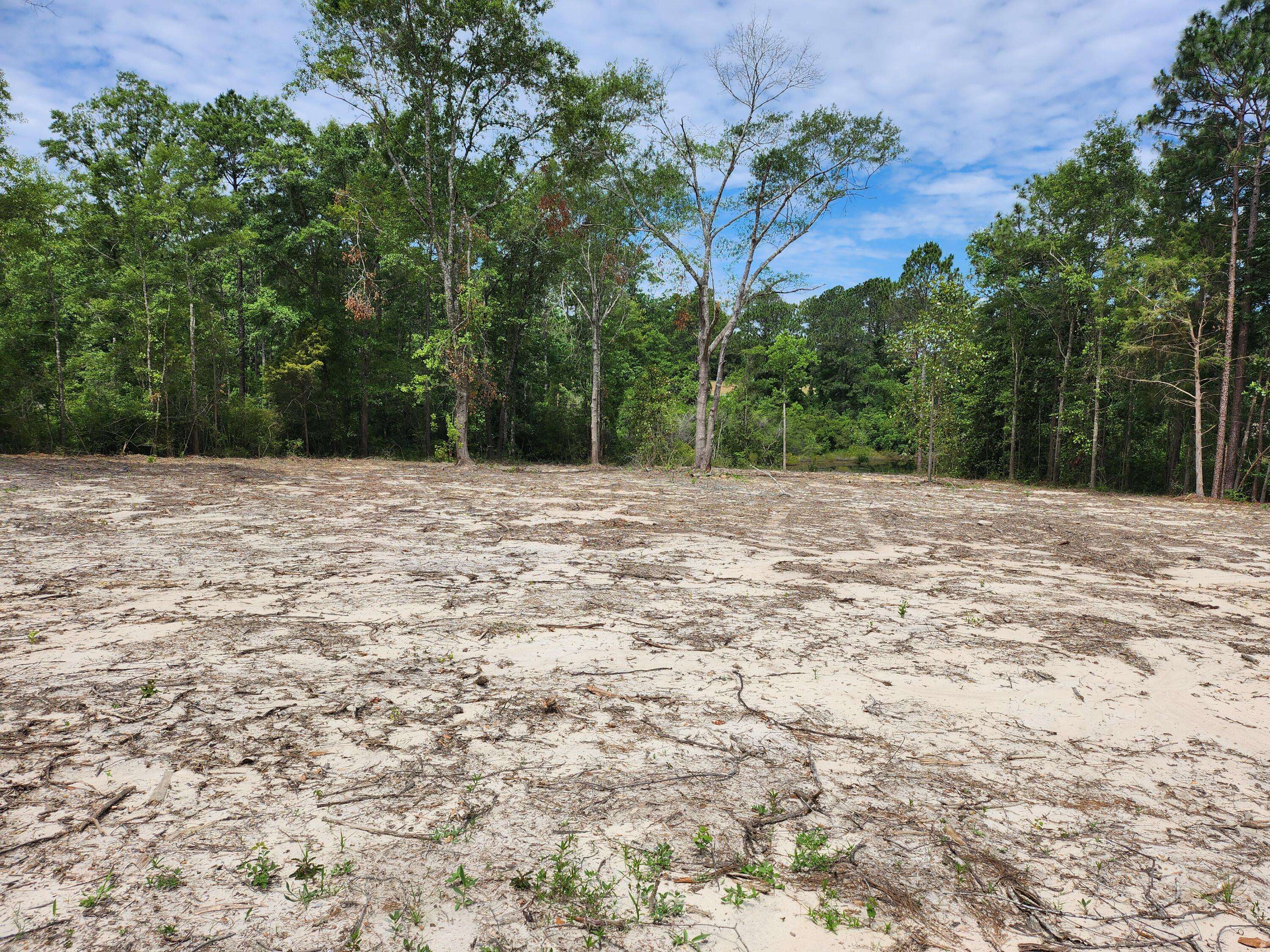 Defuniak Springs, FL 32433,Lot 43 Pinewood Drive