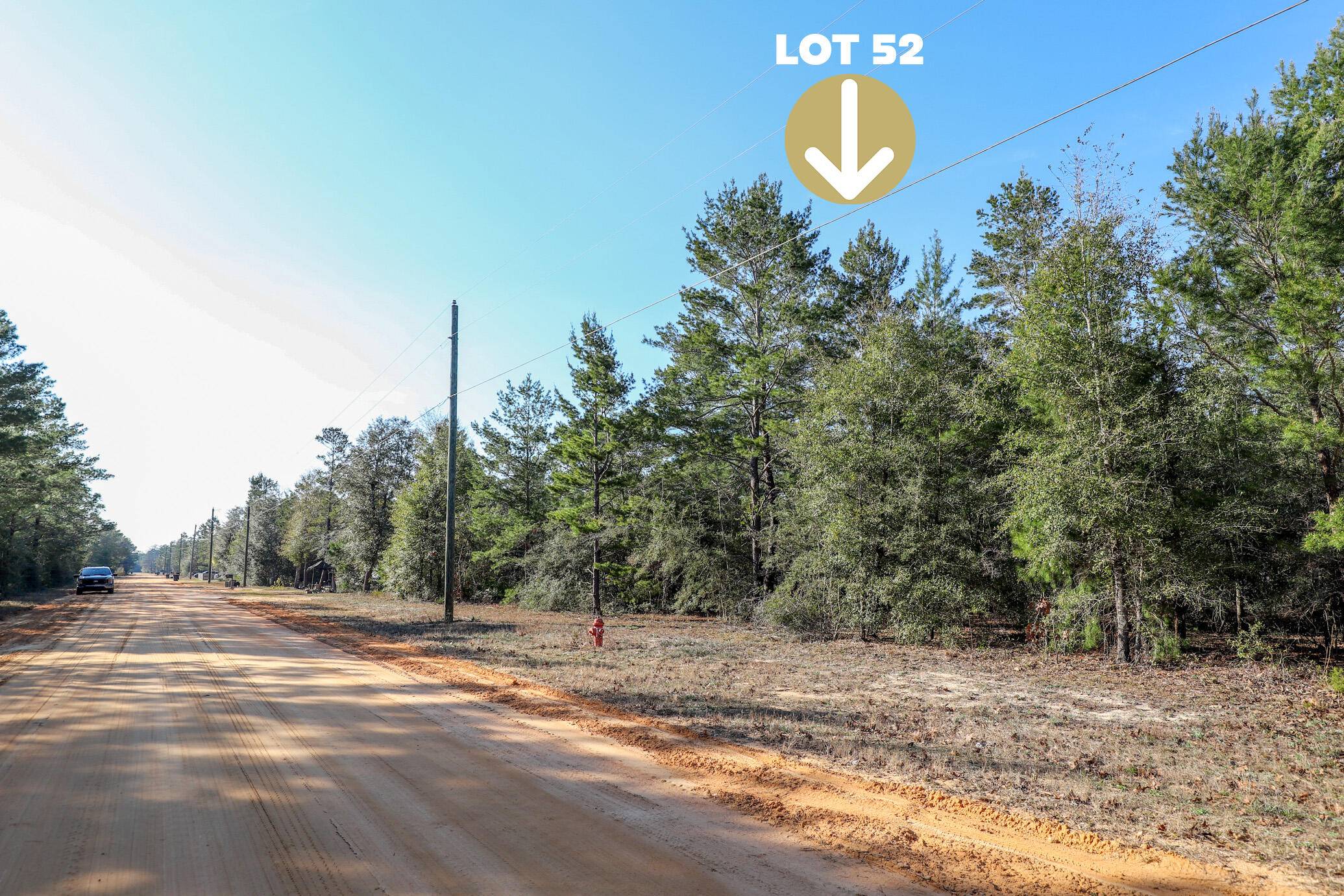 Defuniak Springs, FL 32433,LOT 52 Passion Flower Street