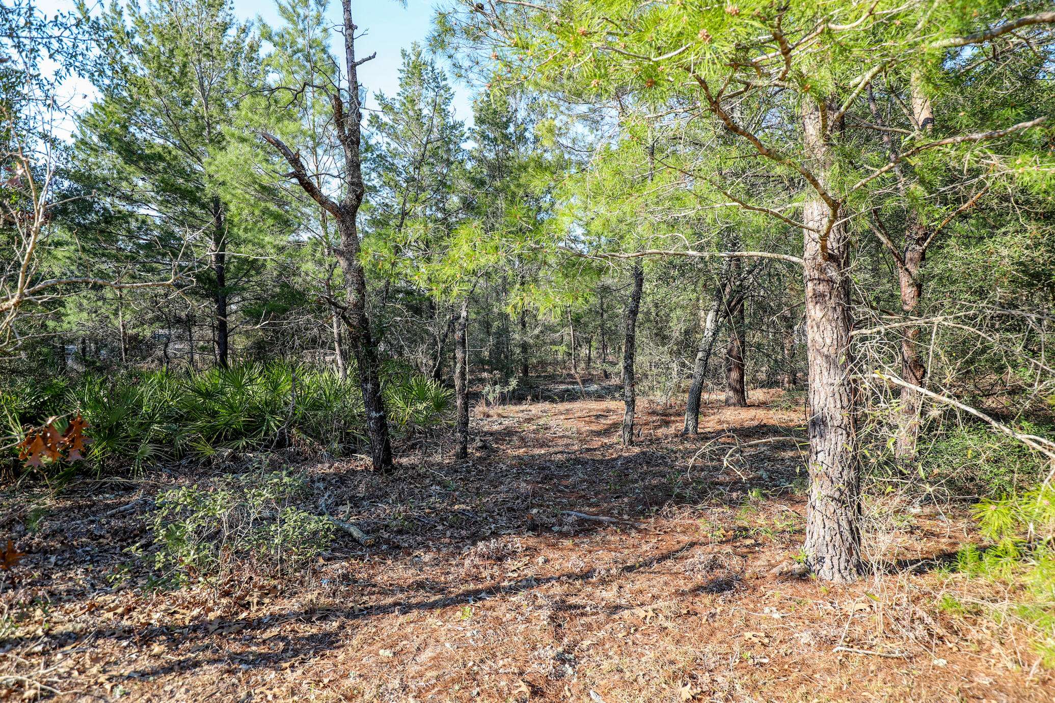 Defuniak Springs, FL 32433,LOT 52 Passion Flower Street