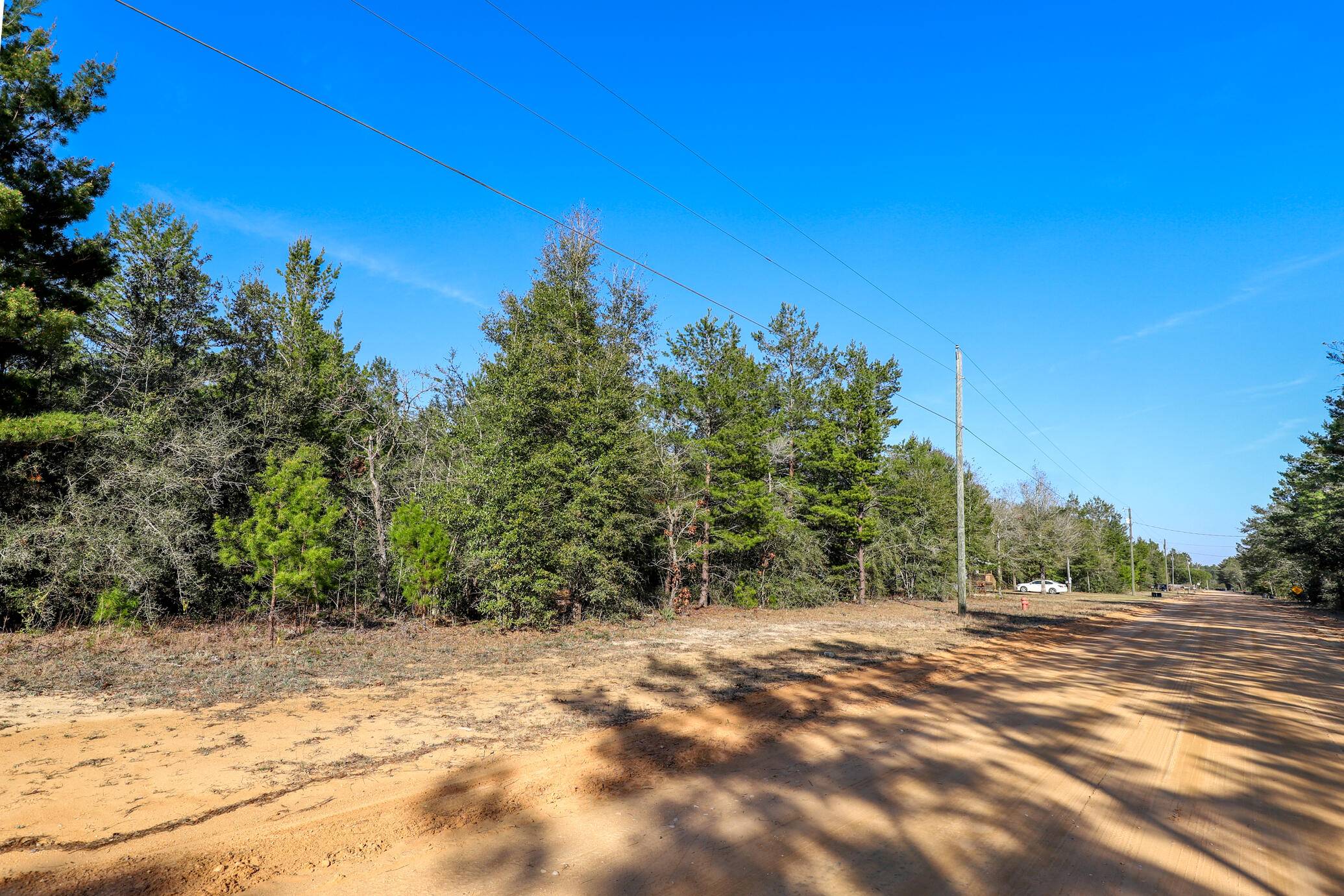 Defuniak Springs, FL 32433,LOT 52 Passion Flower Street