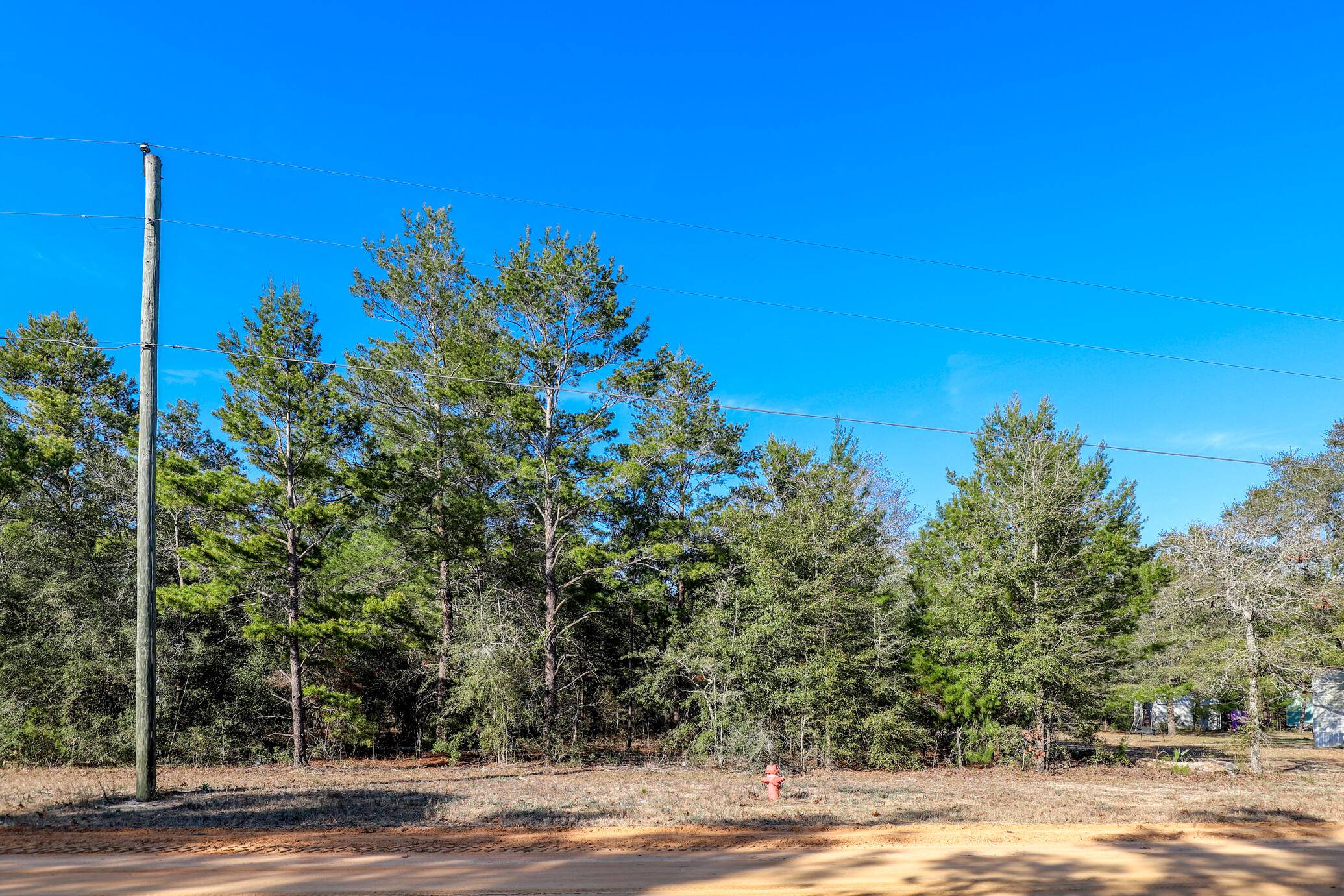 Defuniak Springs, FL 32433,LOT 52 Passion Flower Street