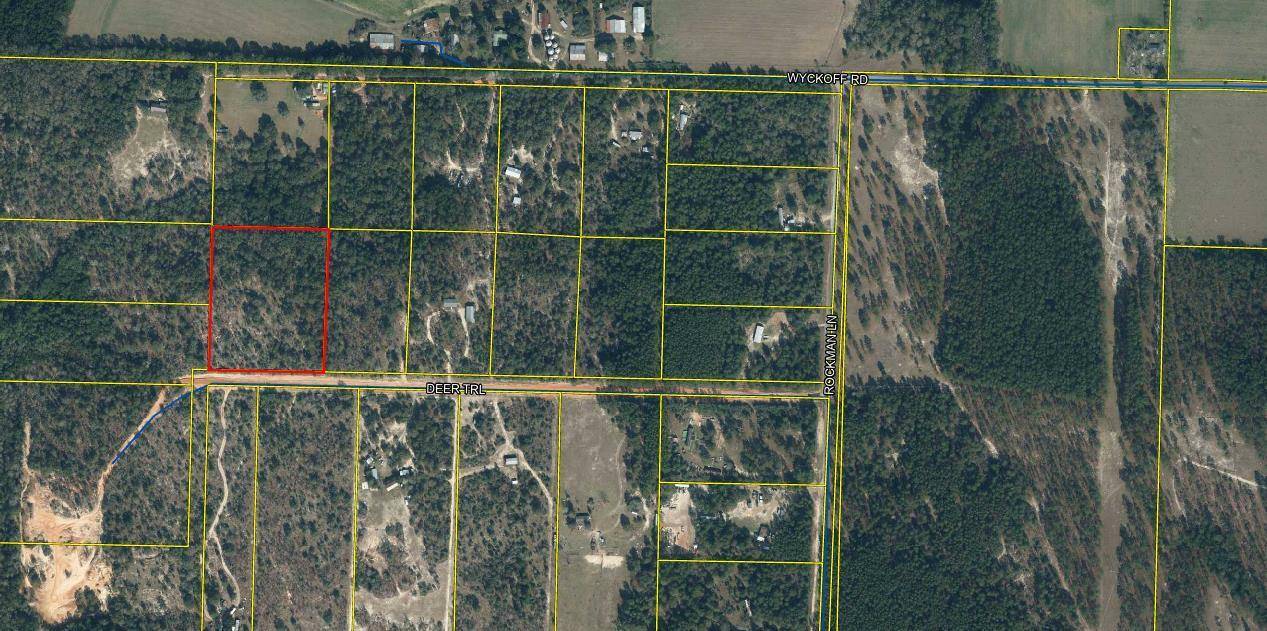 Defuniak Springs, FL 32433,000 Deer Court