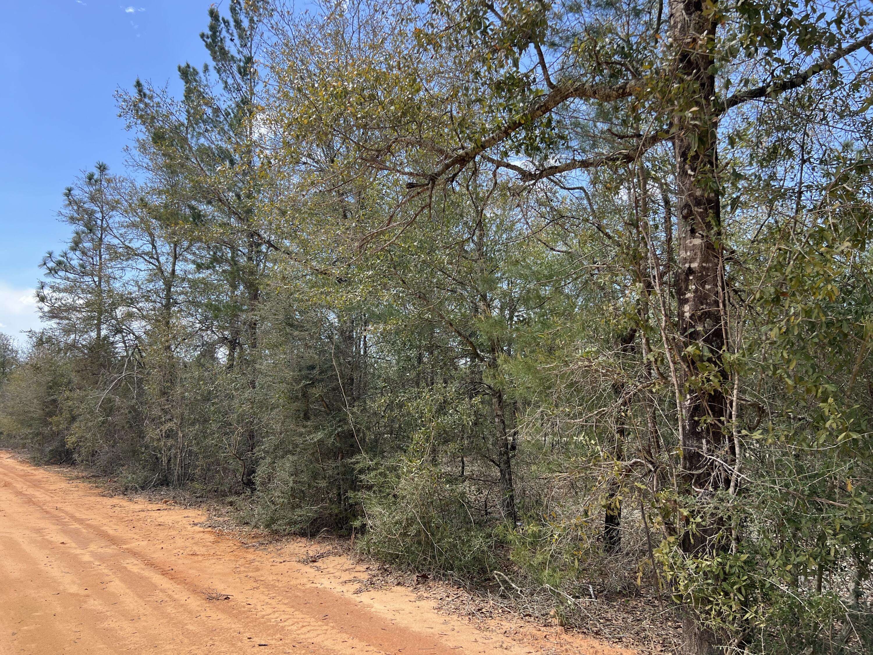 Defuniak Springs, FL 32435,Lot 12 Squirrel Haven Road