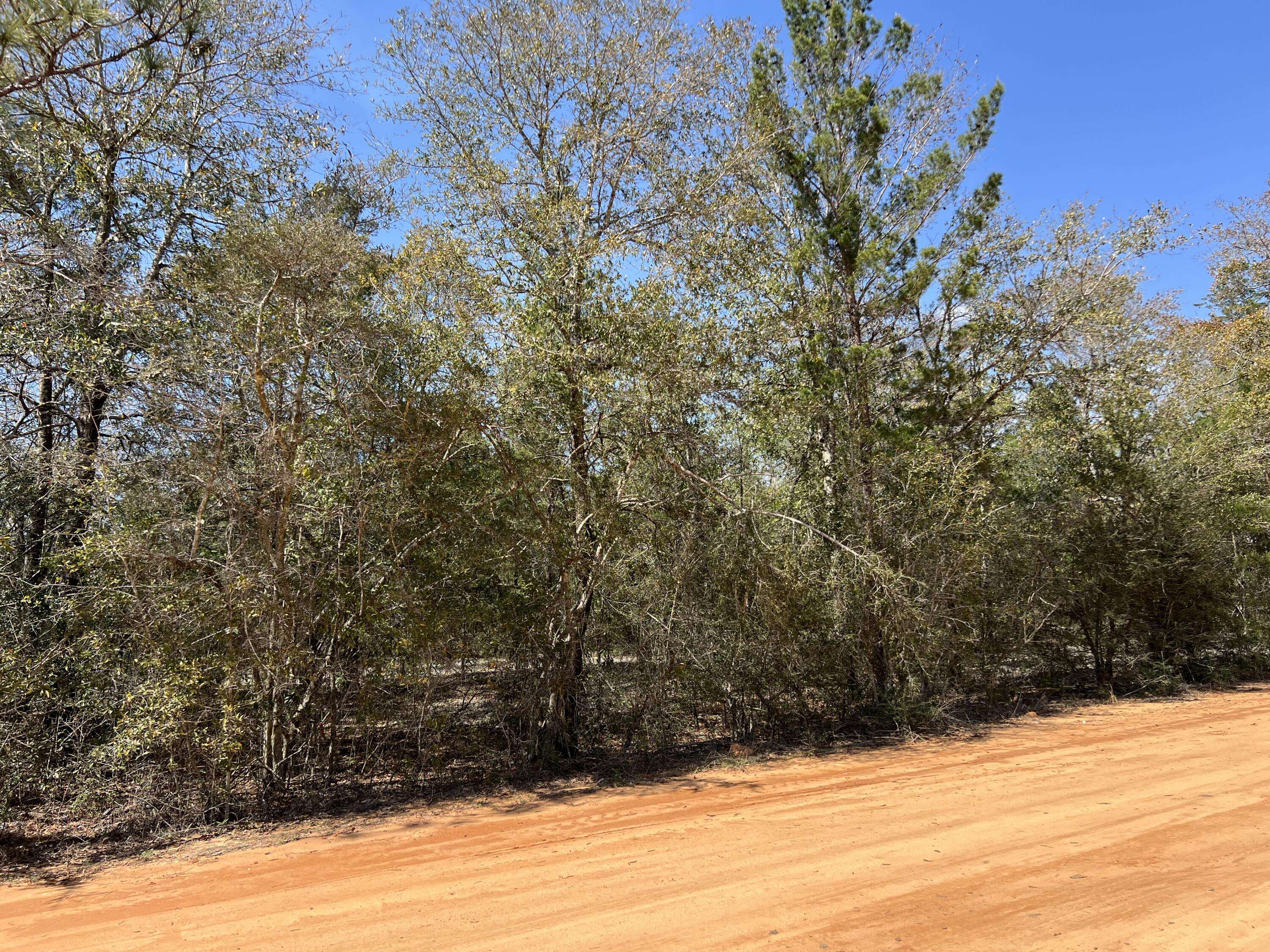 Defuniak Springs, FL 32435,Lot 12 Squirrel Haven Road