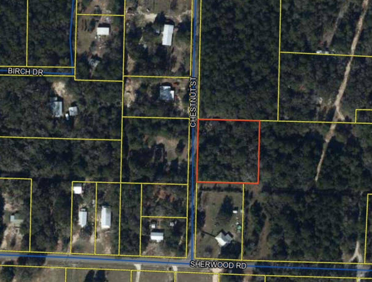 Defuniak Springs, FL 32435,80 Chestnut Street