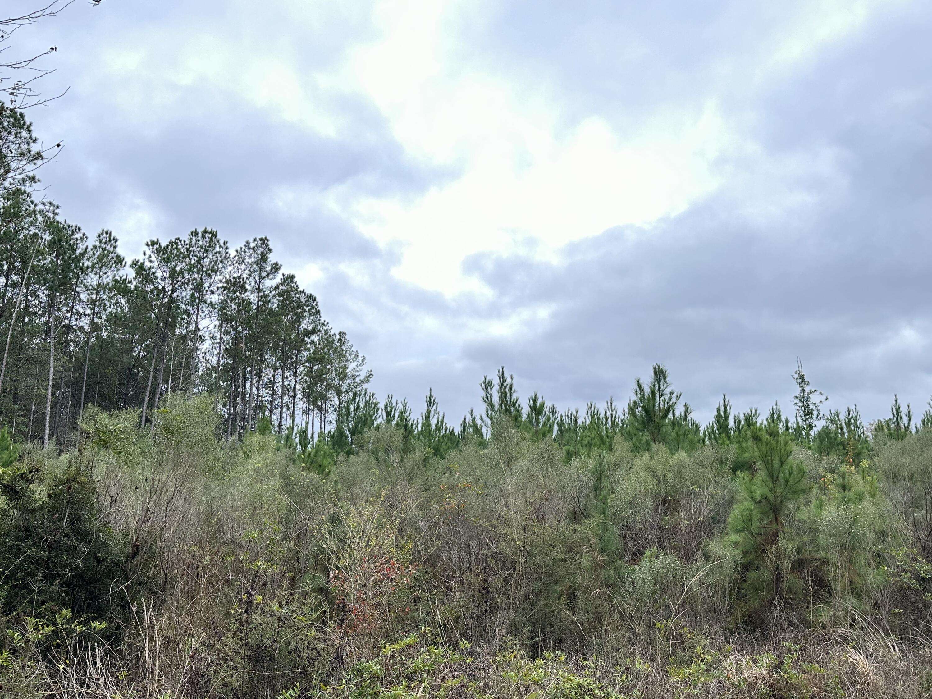 Chipley, FL 32428,Tract#6411 S White Road