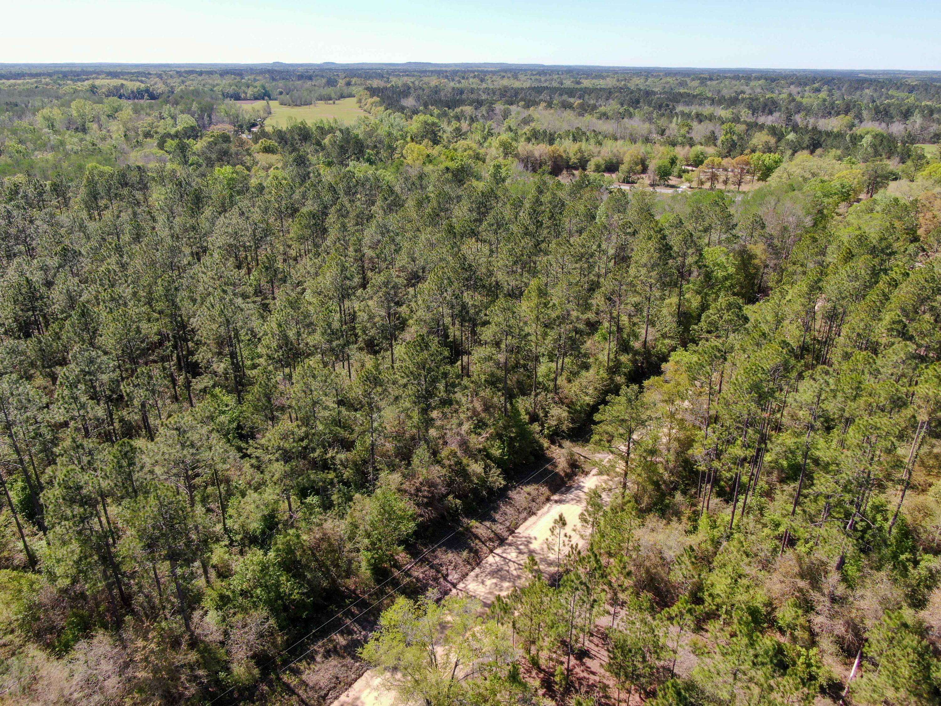 Caryville, FL 32425,TBD Bonifay Gritney Road Lot 29