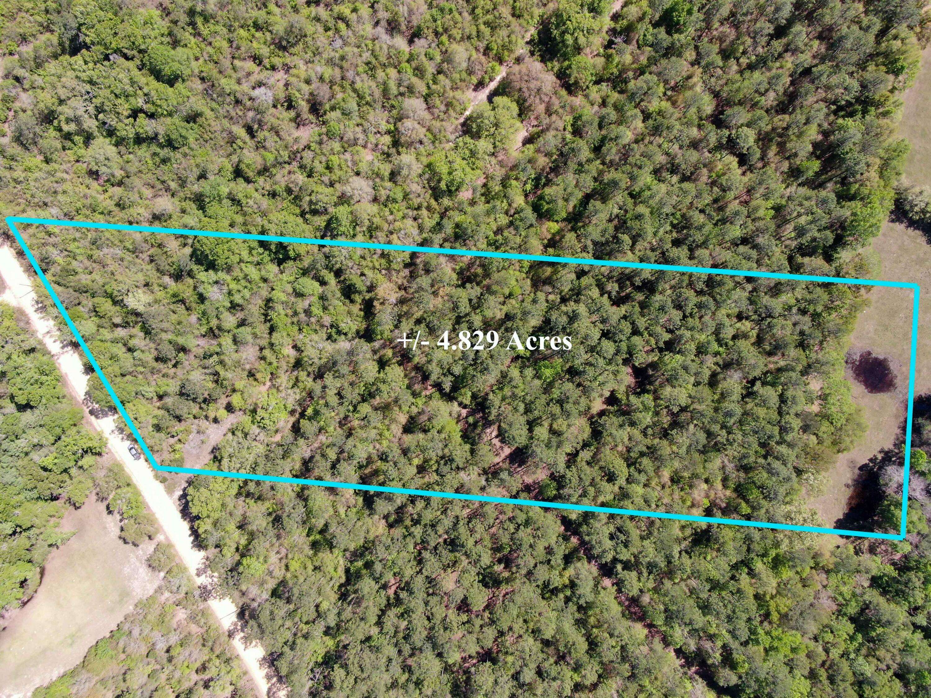 Caryville, FL 32425,TBD Bonifay Gritney Road Lot 29