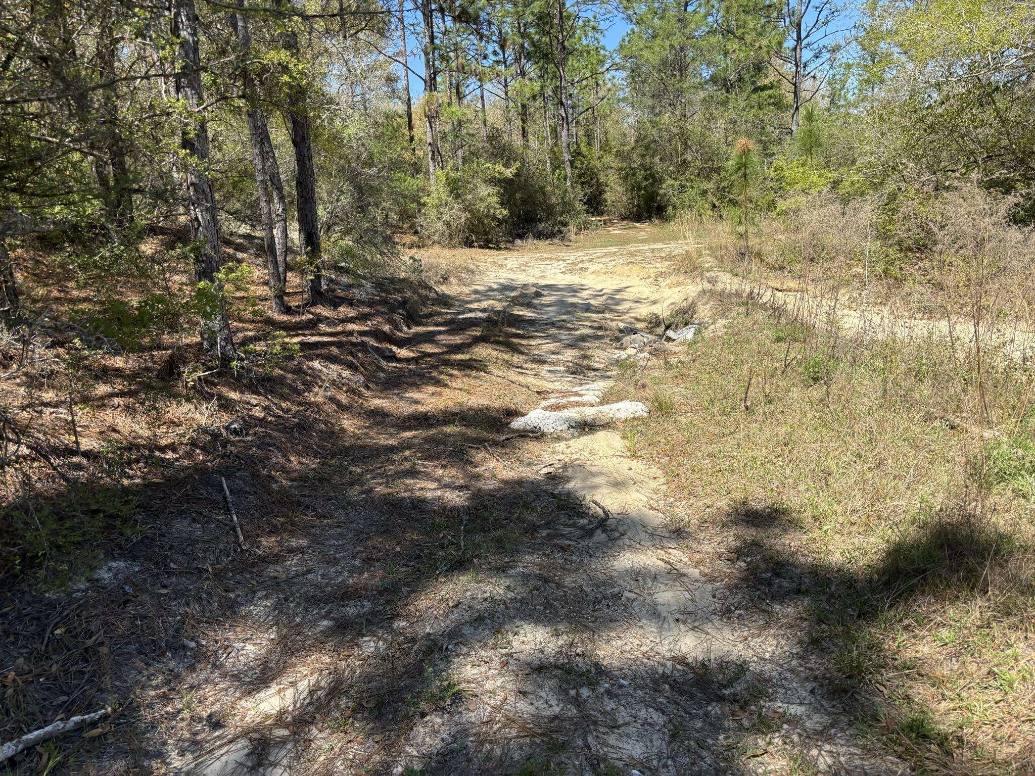 Crestview, FL 32539,Lot 8BLK2 Belle Highland Blvd Boulevard