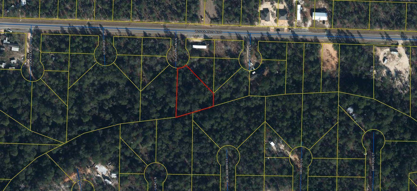 Defuniak Springs, FL 32433,00 Sugar Plum Lane