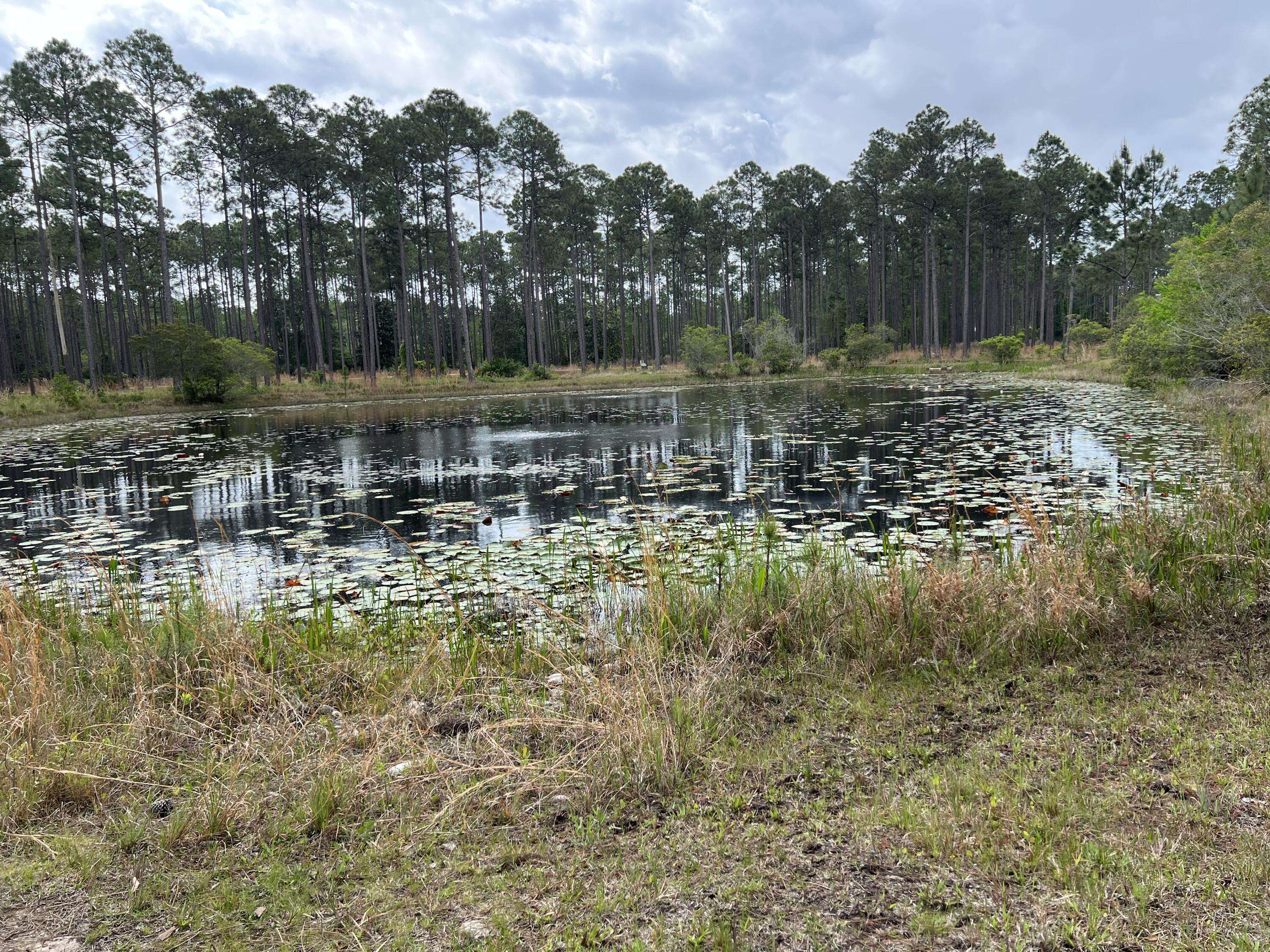 Panama City Beach, FL 32413,8548 Preservation Drive