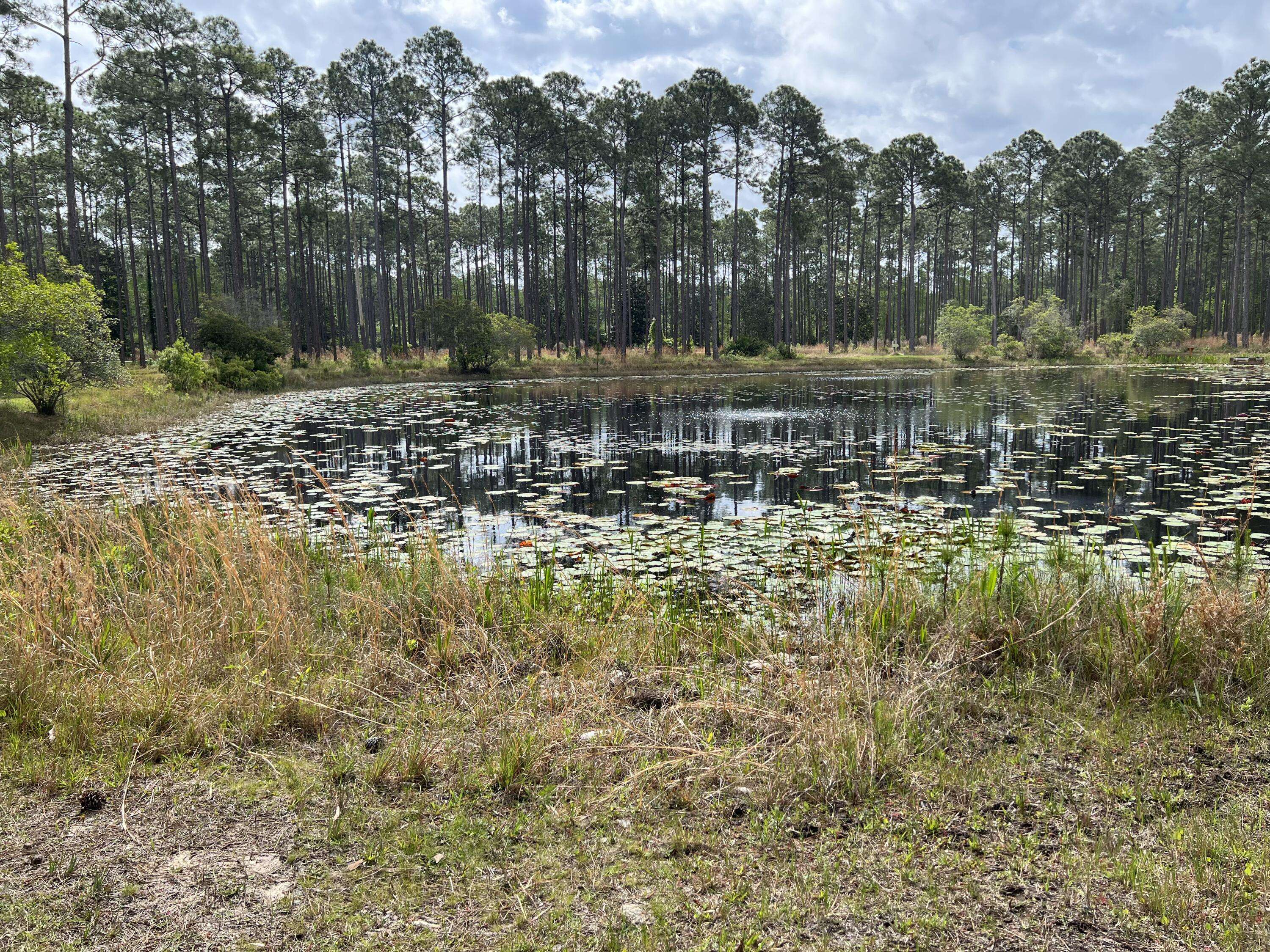 Panama City Beach, FL 32413,8548 Preservation Drive