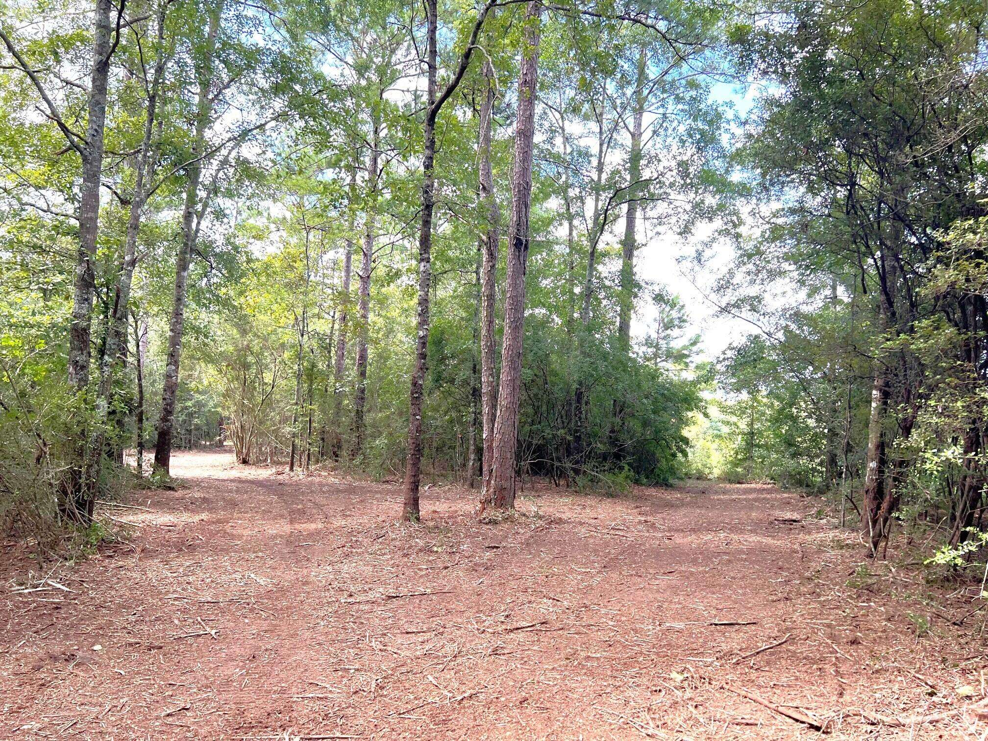 Westville, FL 32464,14.5 Ac E Hwy 181